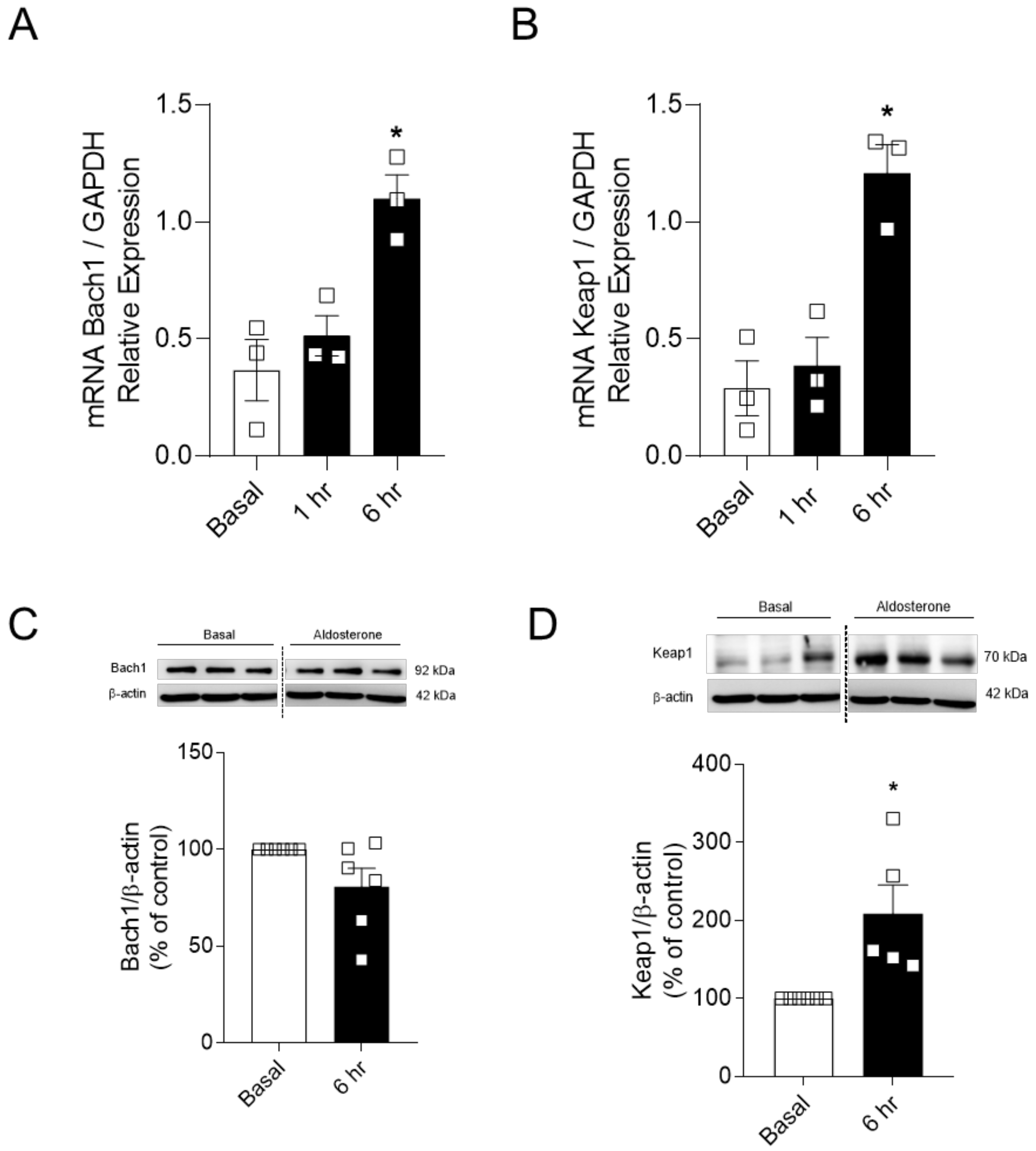 Ijms 22 06154 g005 Ijms 22 06154 g005