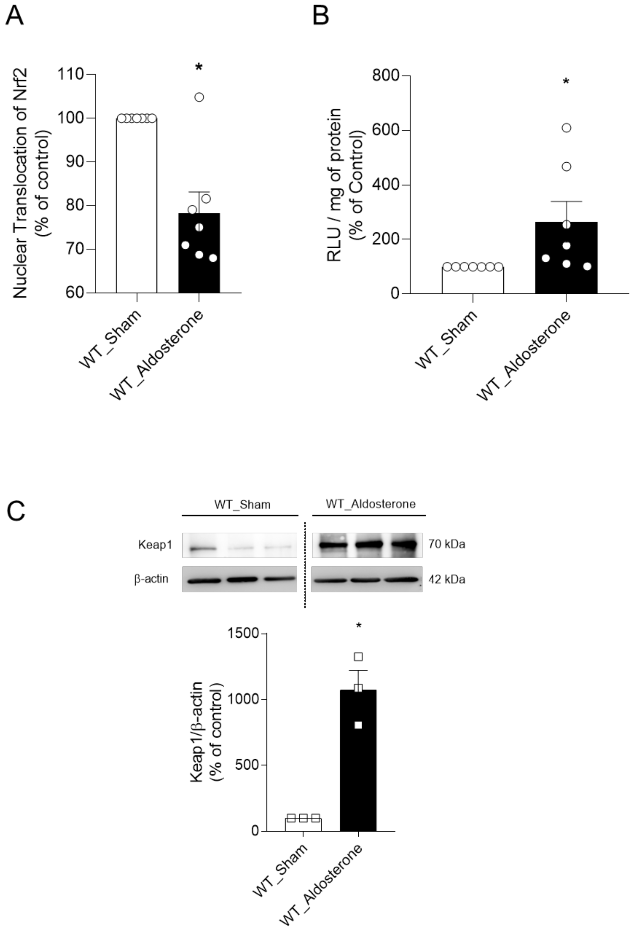 Ijms 22 06154 g006 Ijms 22 06154 g006