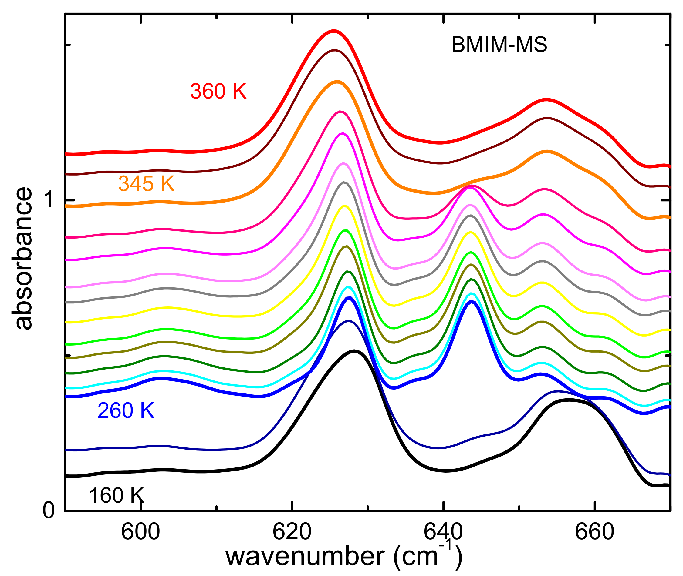 Ijms 22 06155 g005 Ijms 22 06155 g005
