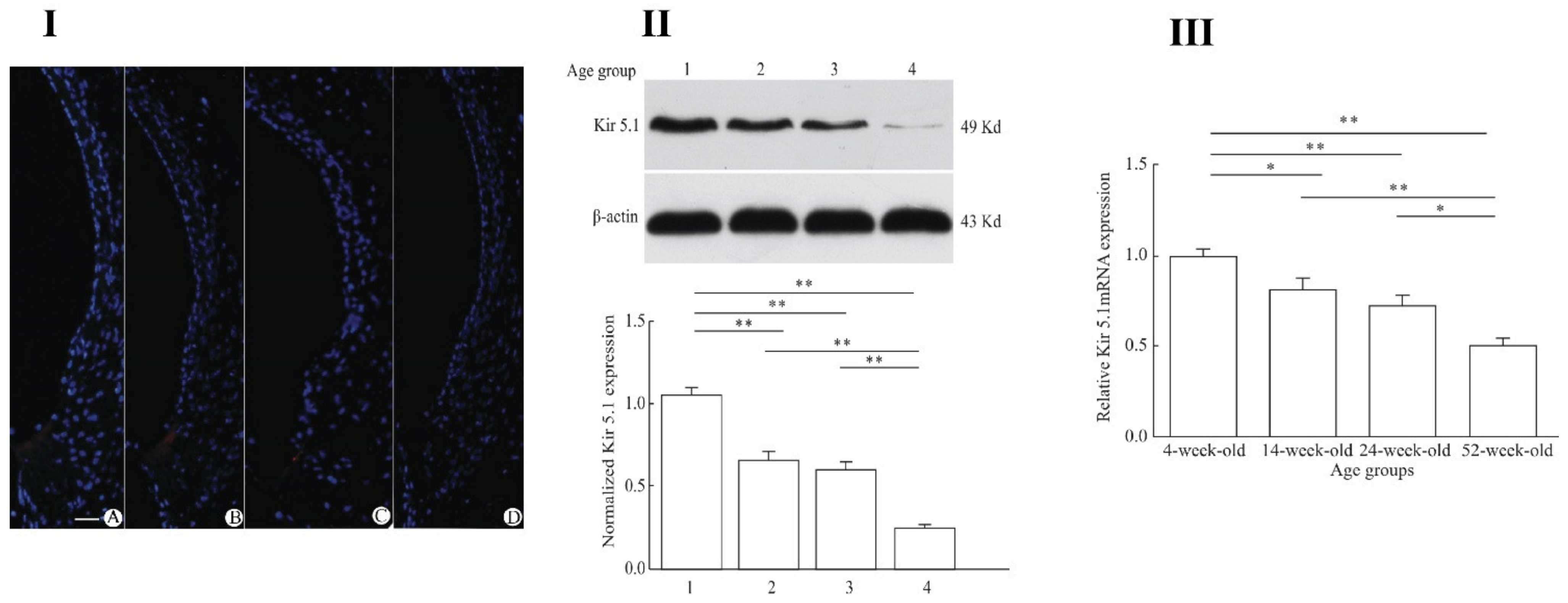 Ijms 22 06158 g005