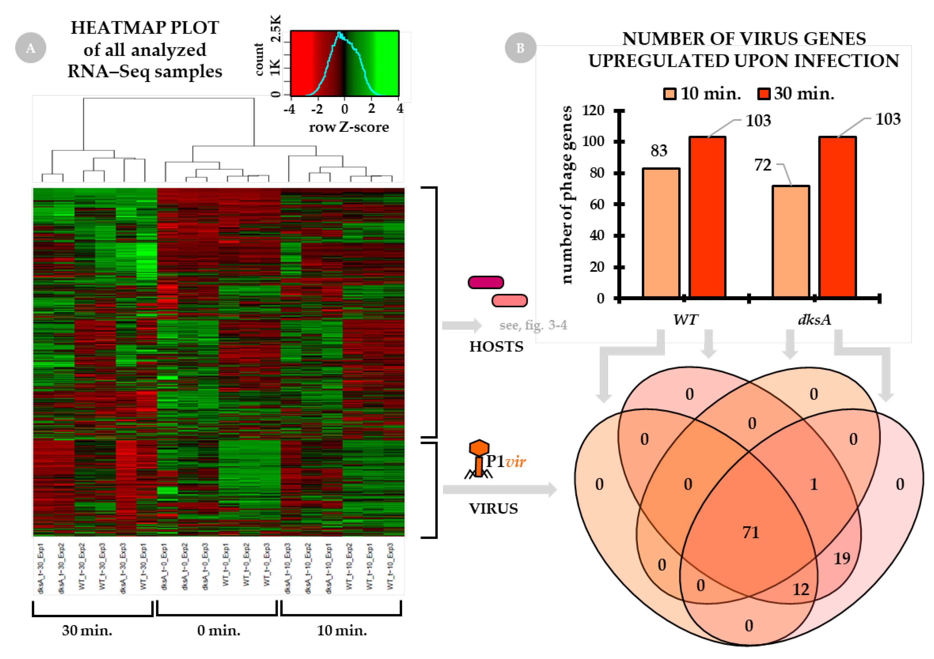 Ijms 22 06159 g001 Ijms 22 06159 g001