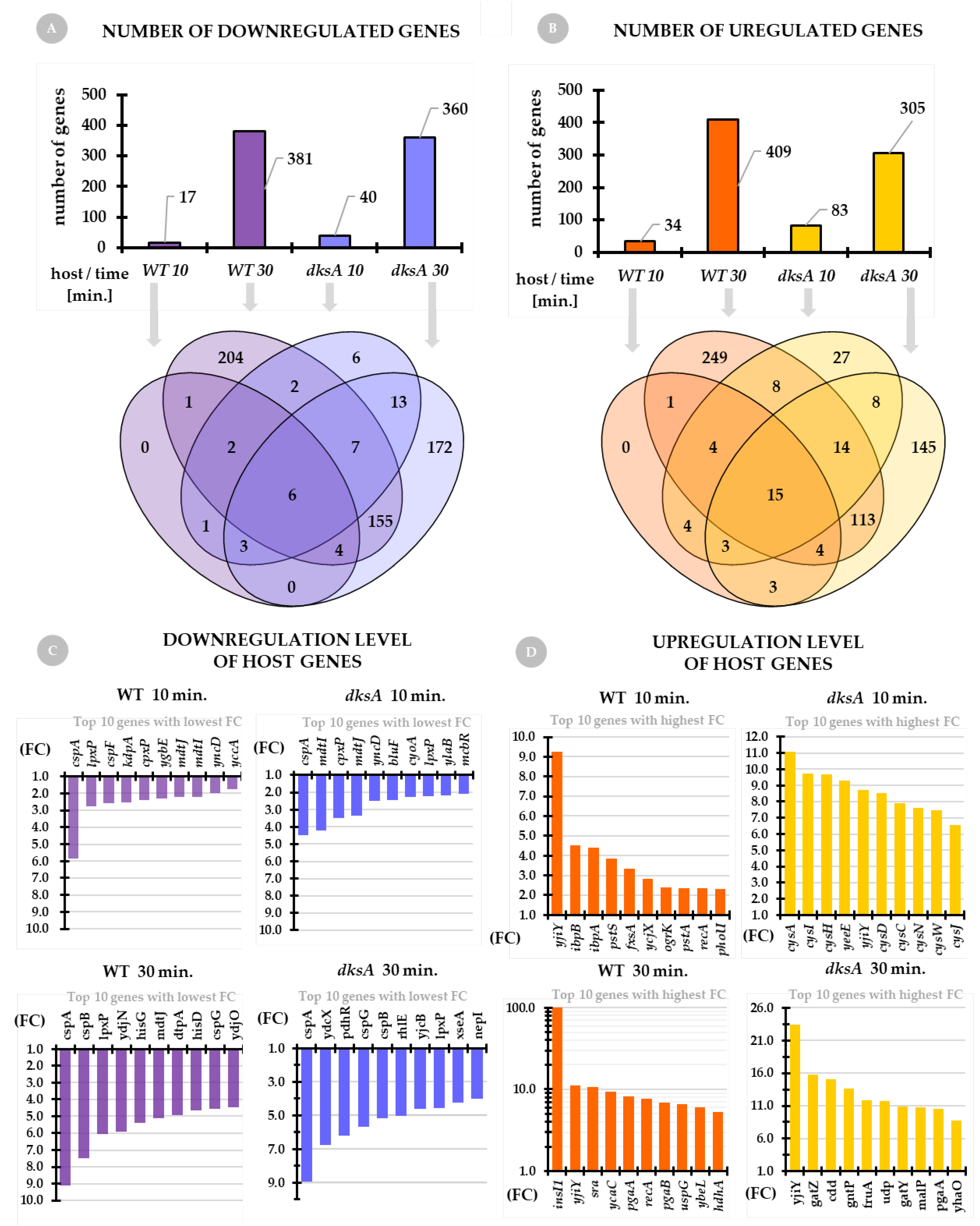 Ijms 22 06159 g003 Ijms 22 06159 g003