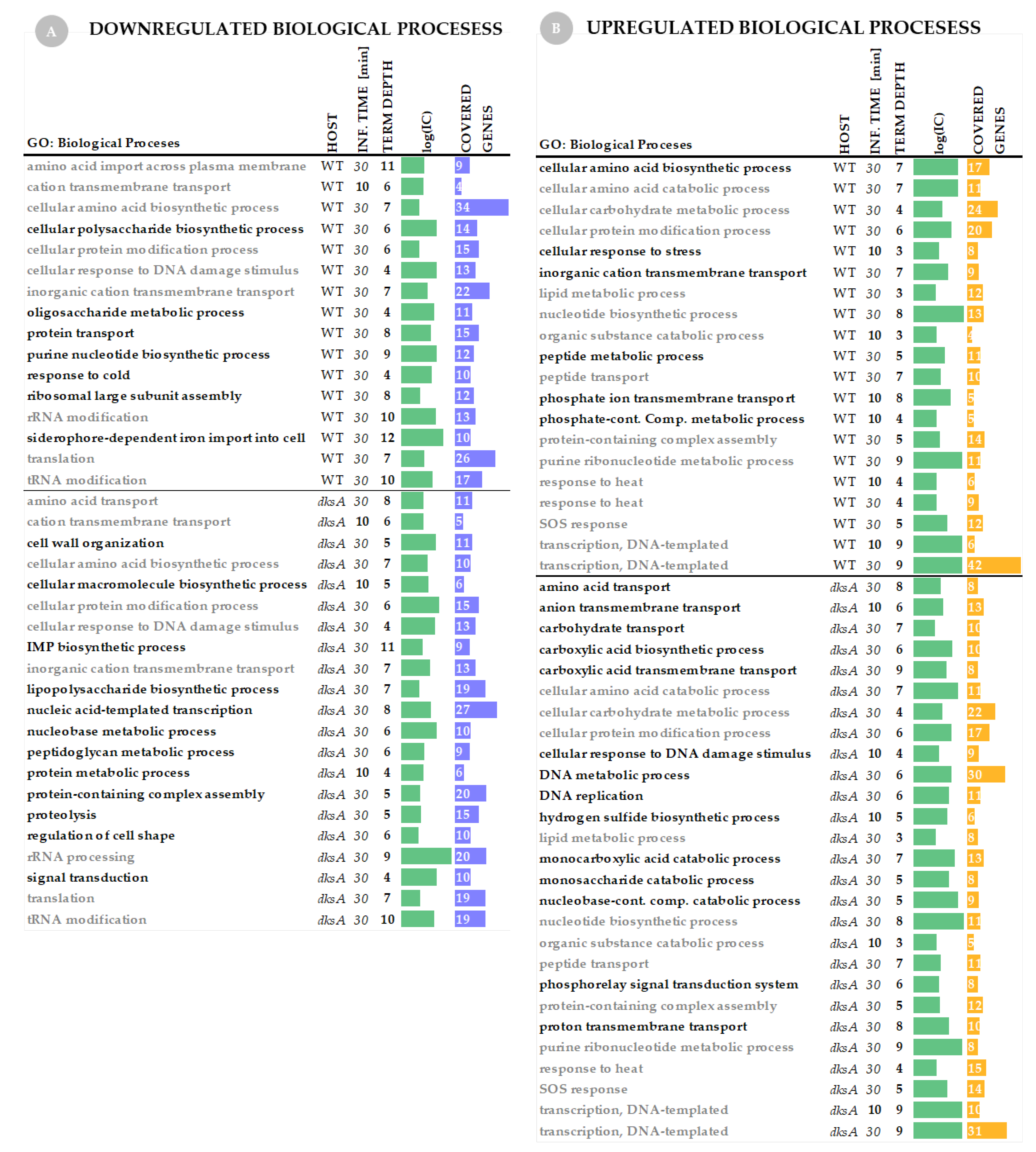 Ijms 22 06159 g004 Ijms 22 06159 g004