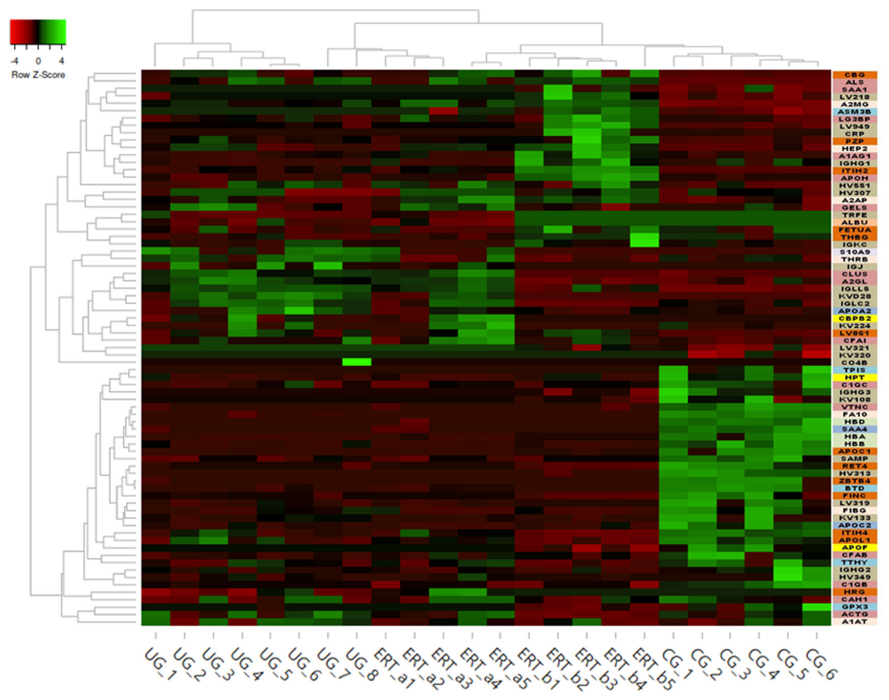 Ijms 22 06165 g008 Ijms 22 06165 g008