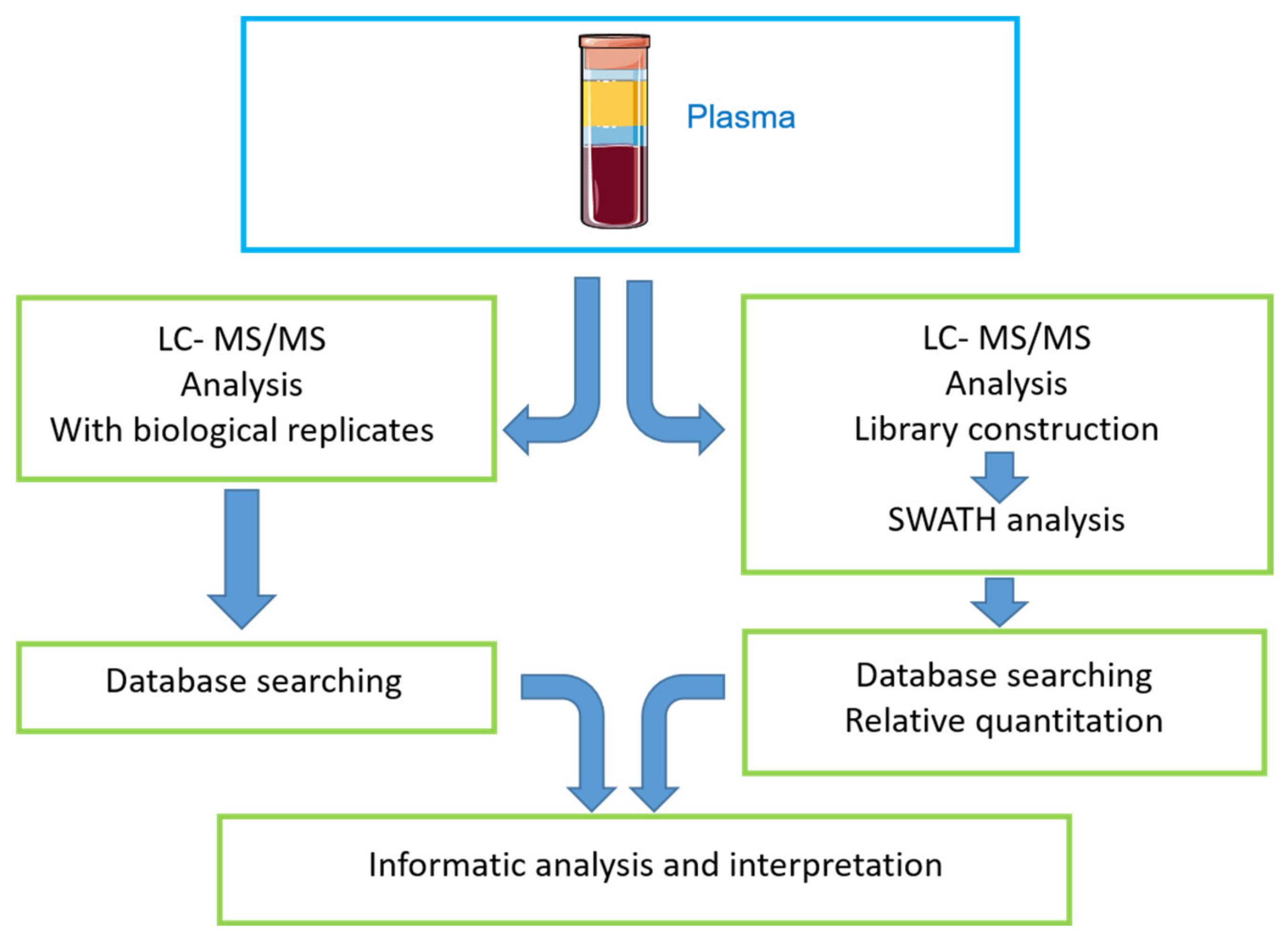 Ijms 22 06165 g014 Ijms 22 06165 g014