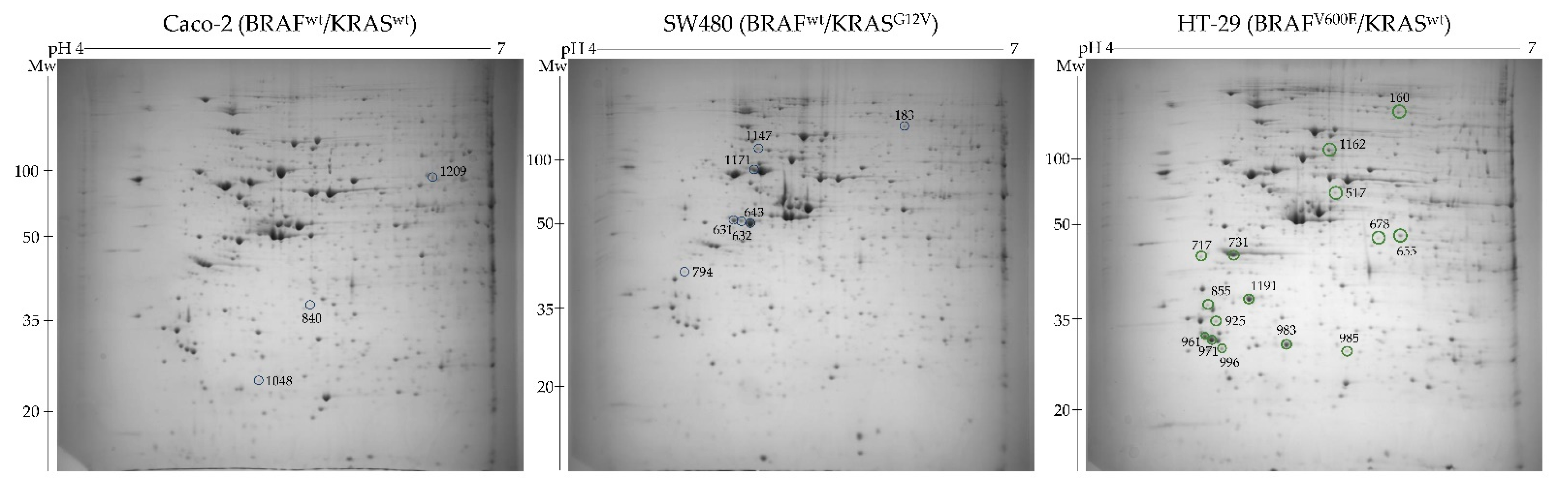 Ijms 22 06174 g001 Ijms 22 06174 g001