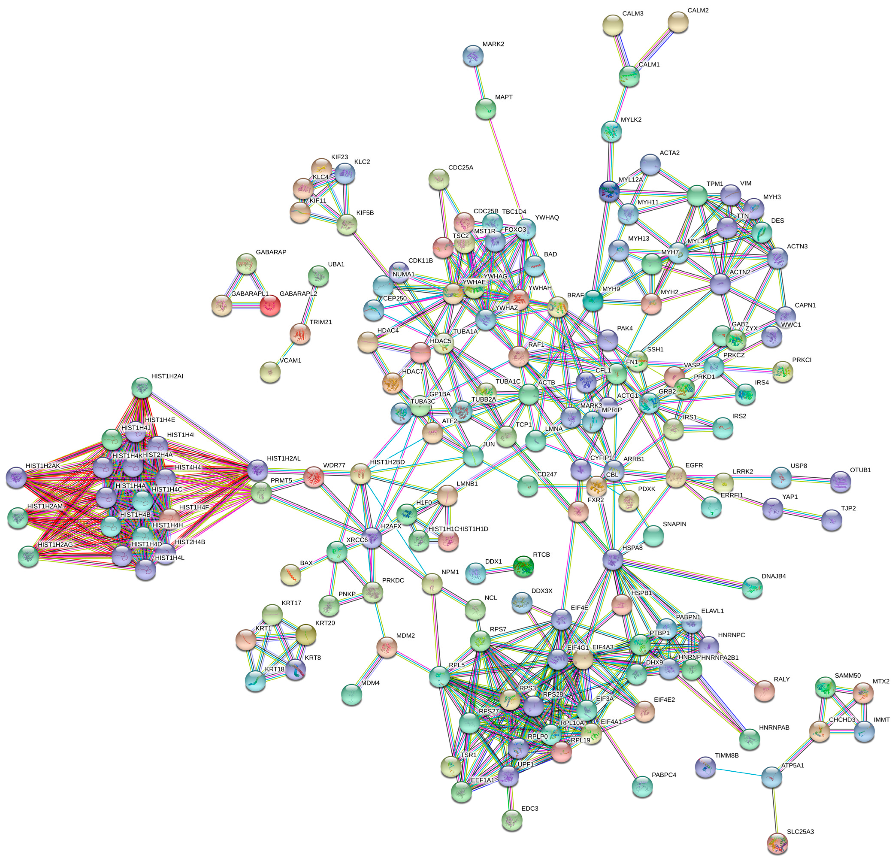 Ijms 22 06174 g002 Ijms 22 06174 g002