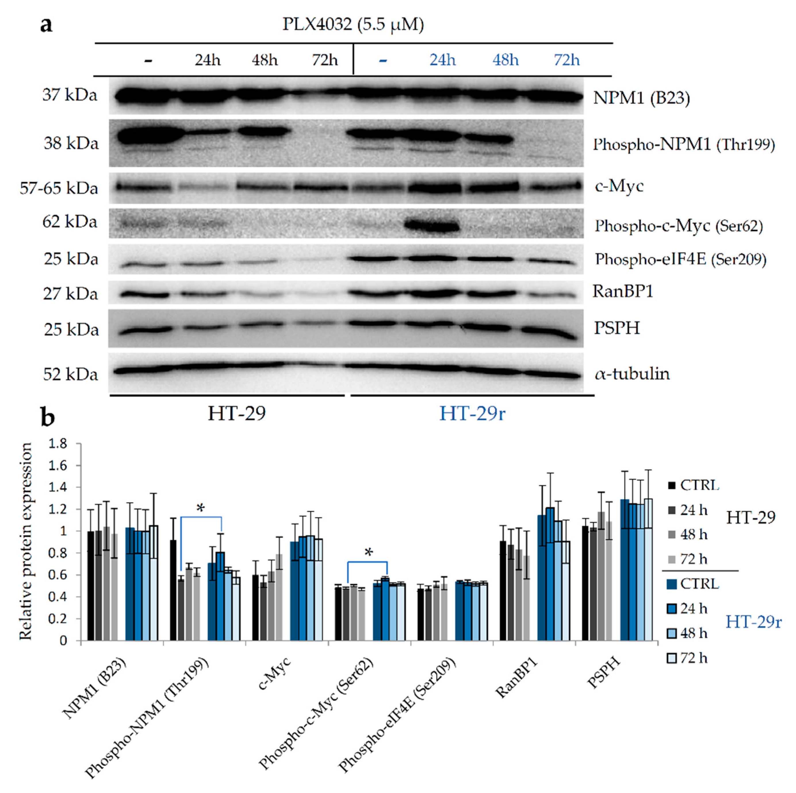 Ijms 22 06174 g005a Ijms 22 06174 g005a