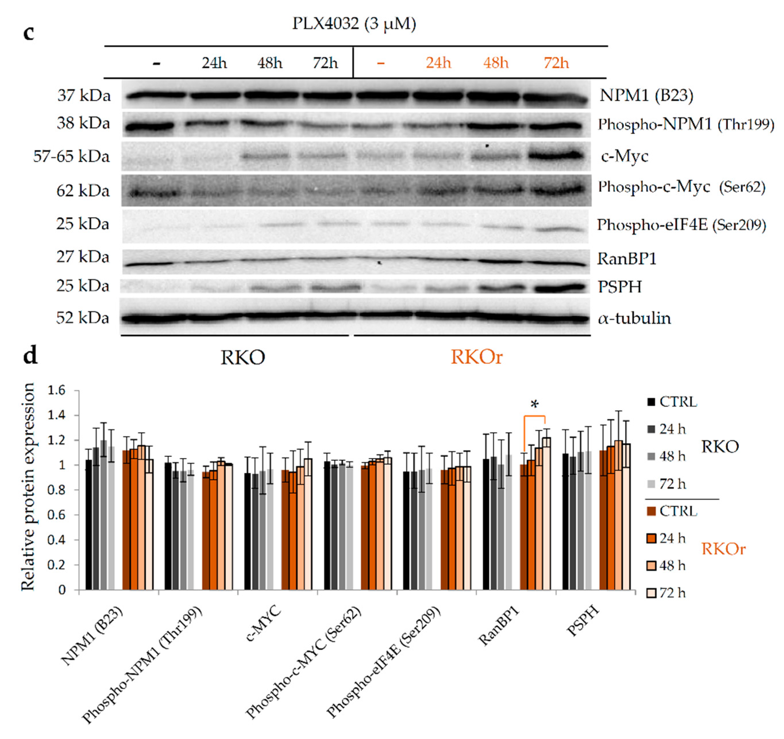 Ijms 22 06174 g005b Ijms 22 06174 g005b