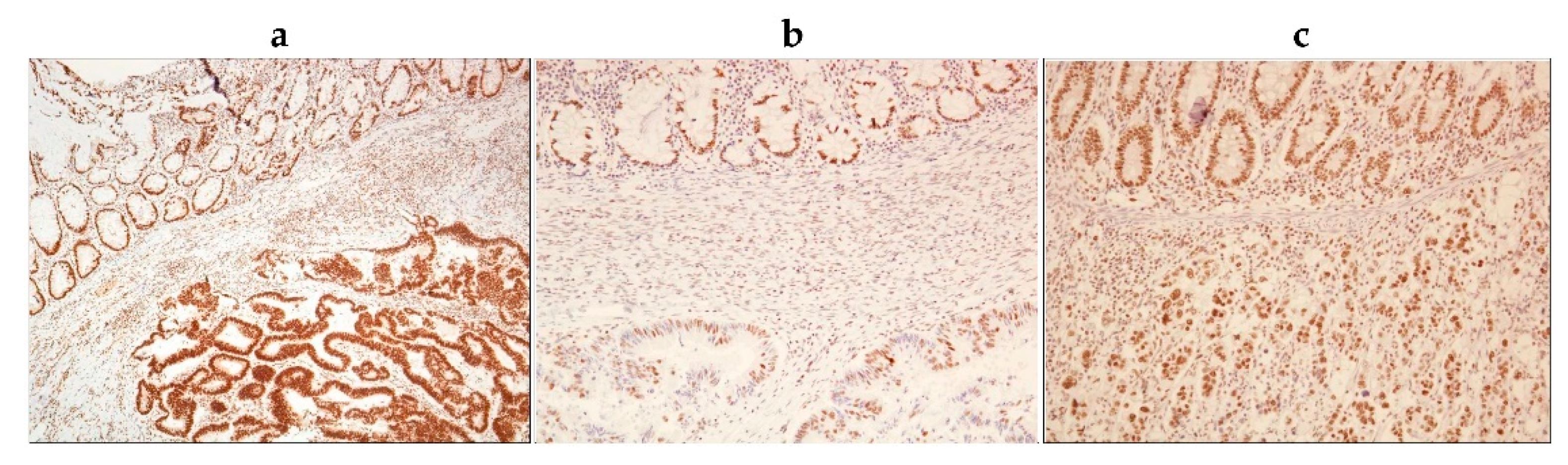 Ijms 22 06174 g006 Ijms 22 06174 g006