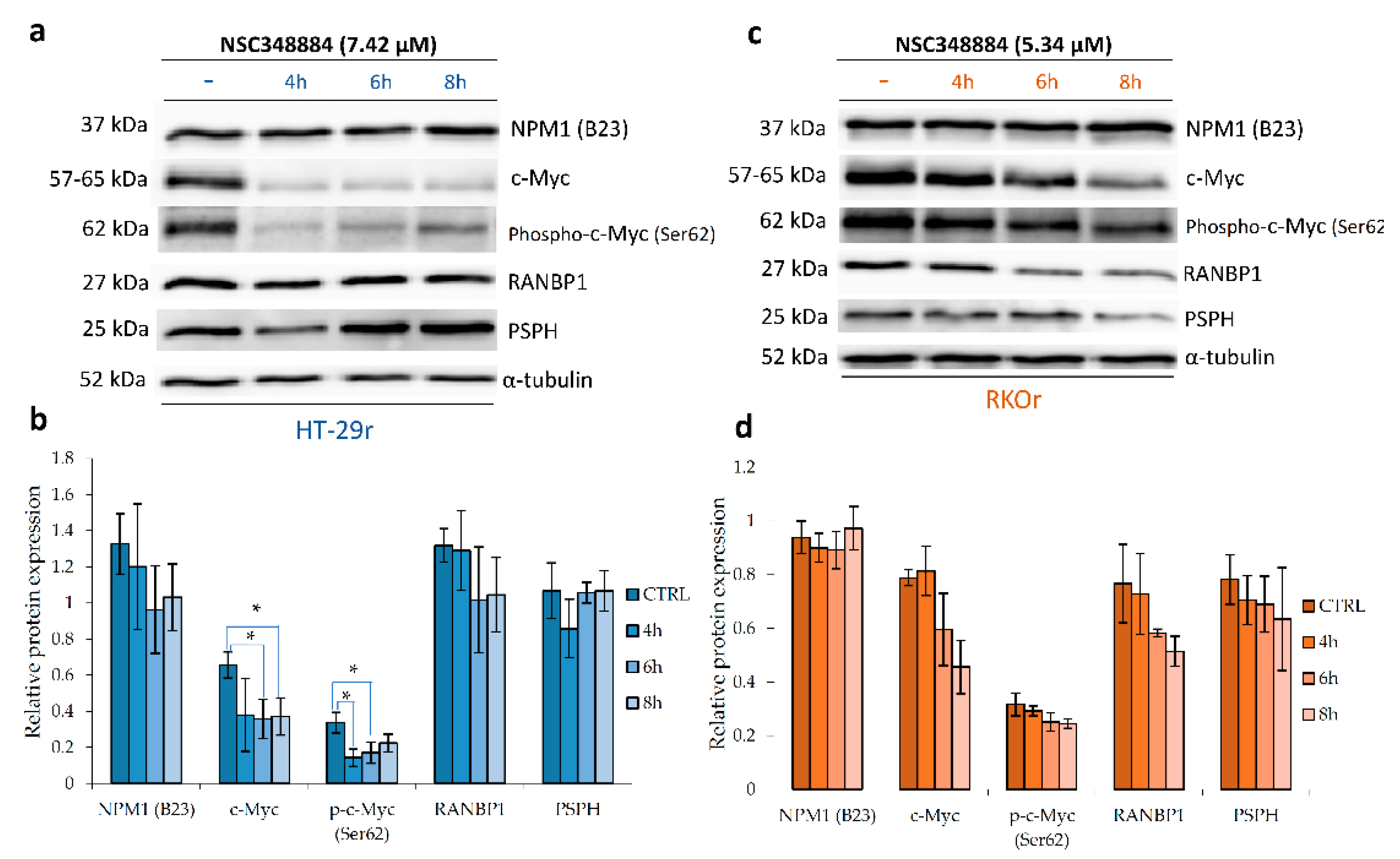 Ijms 22 06174 g007 Ijms 22 06174 g007