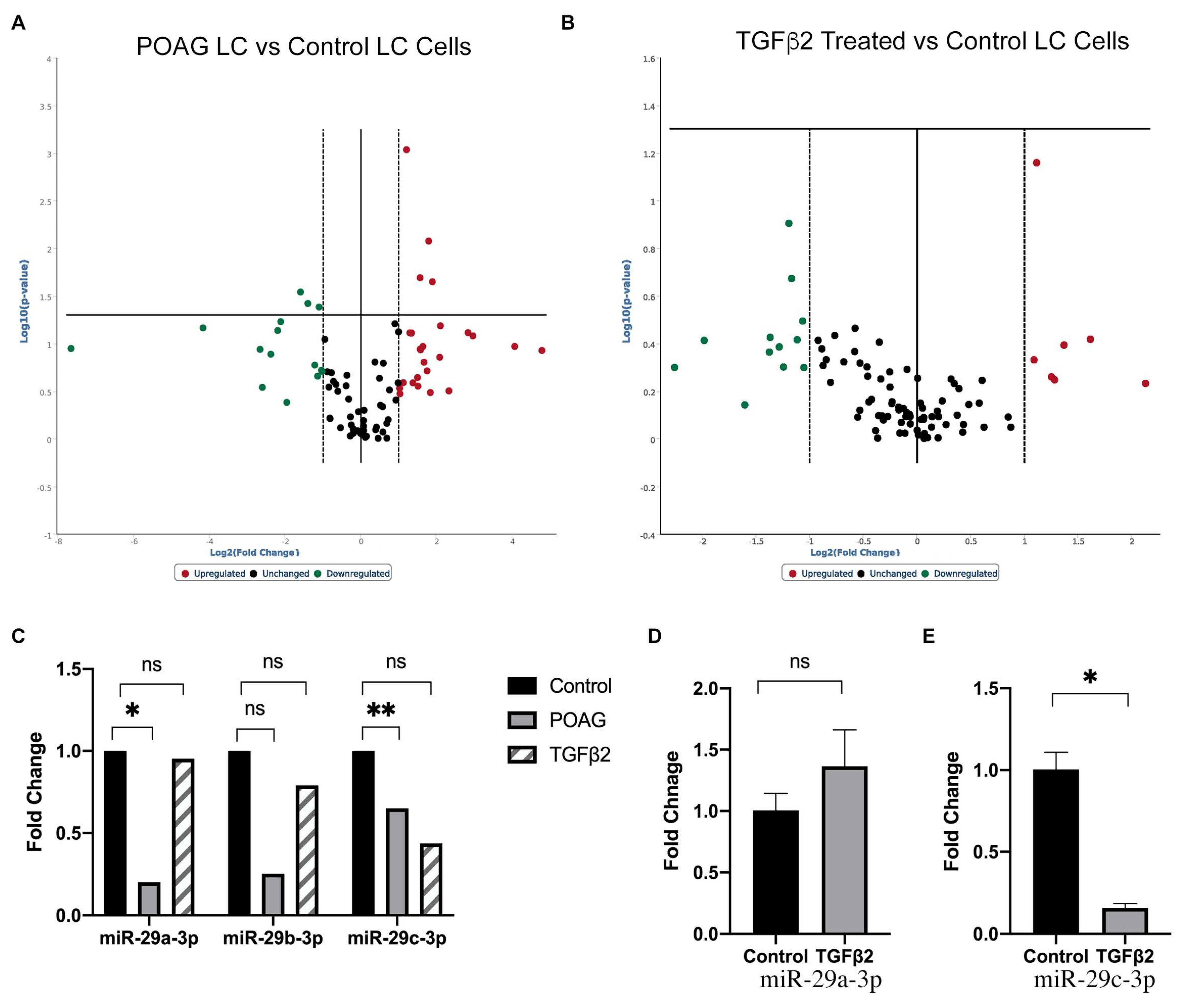 Ijms 22 06178 g001 Ijms 22 06178 g001