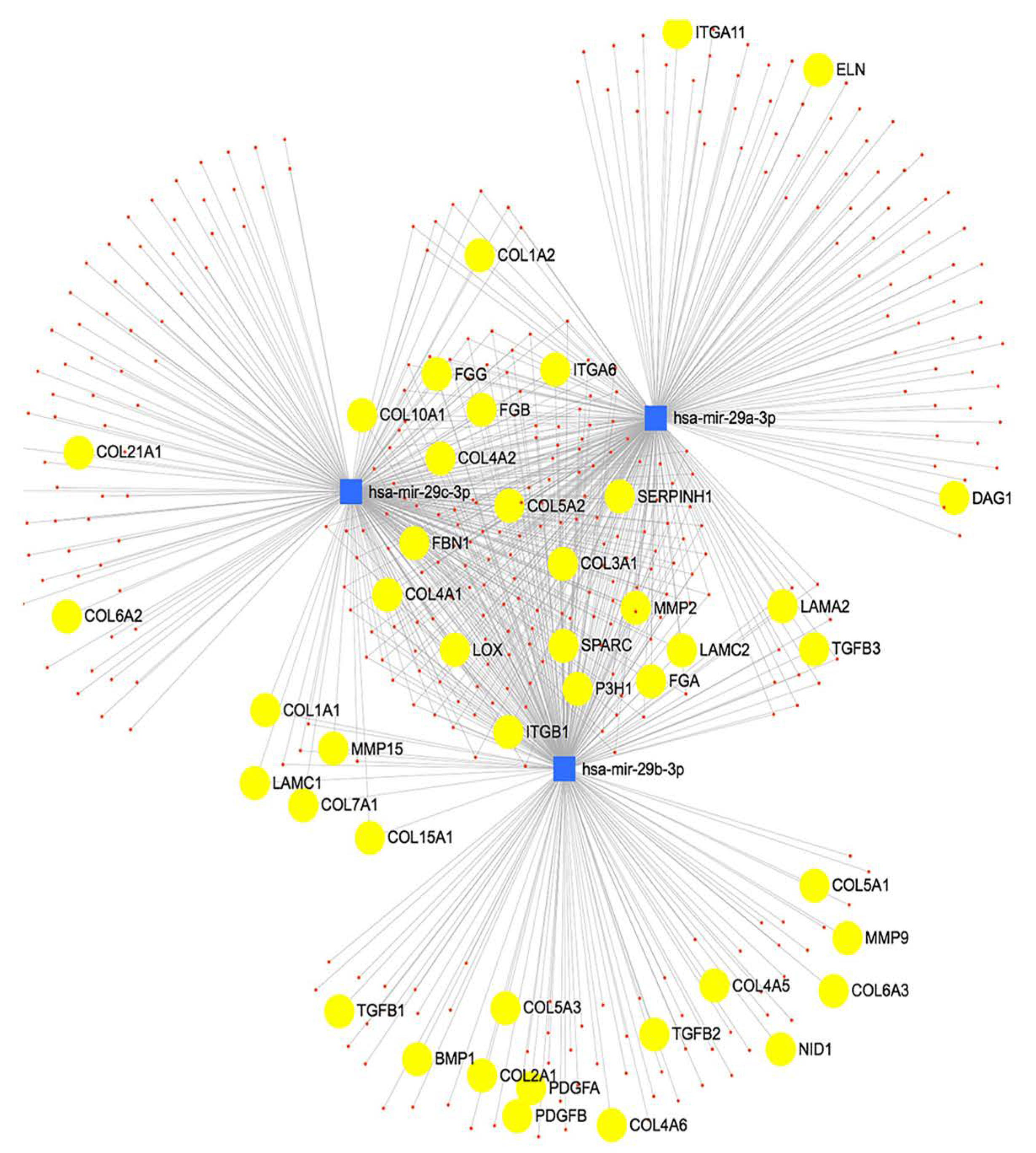 Ijms 22 06178 g002 Ijms 22 06178 g002