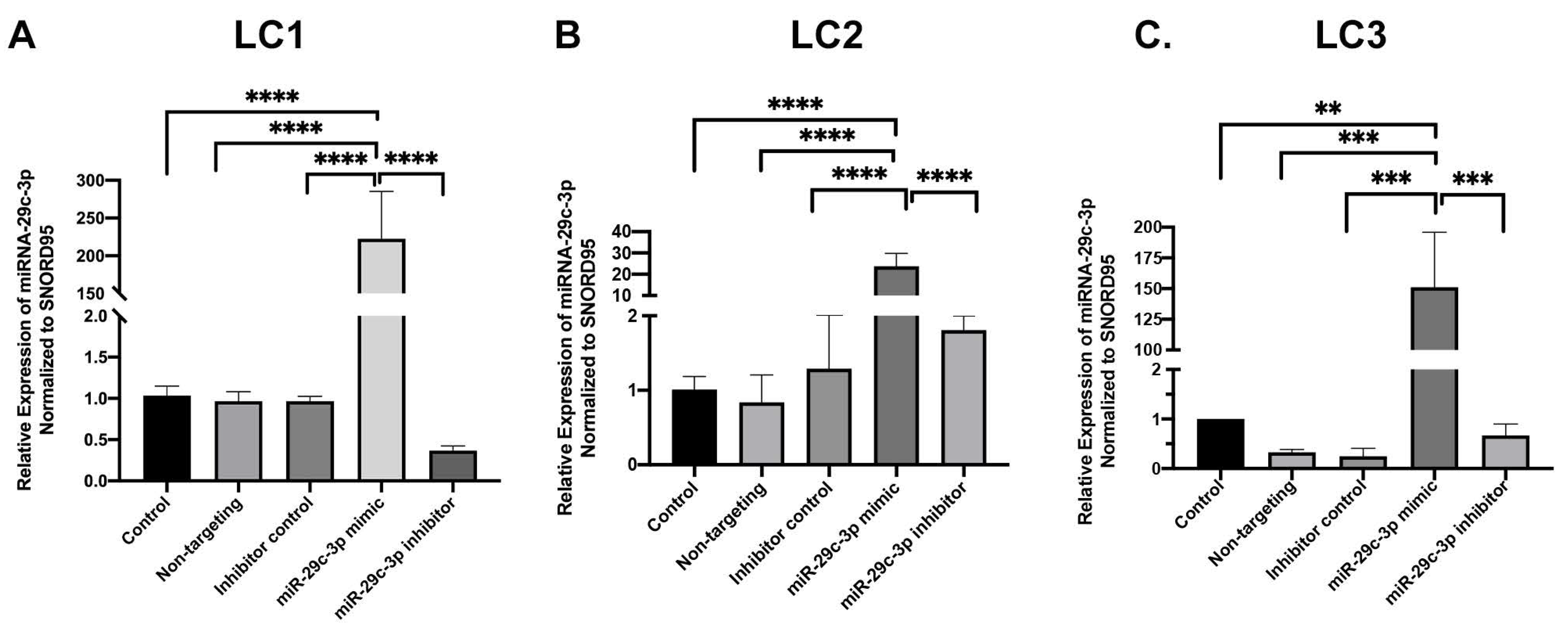 Ijms 22 06178 g003 Ijms 22 06178 g003