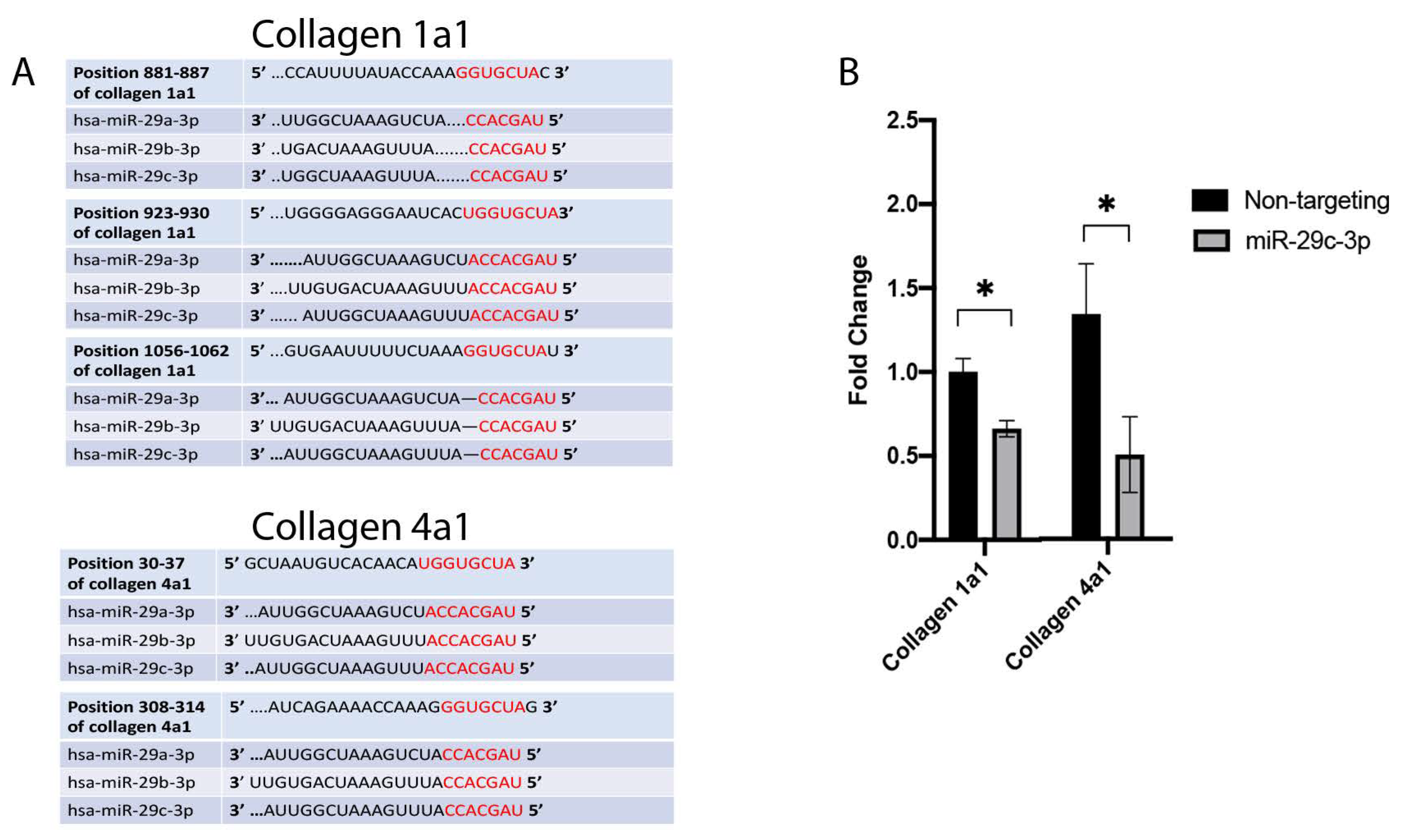 Ijms 22 06178 g004 Ijms 22 06178 g004