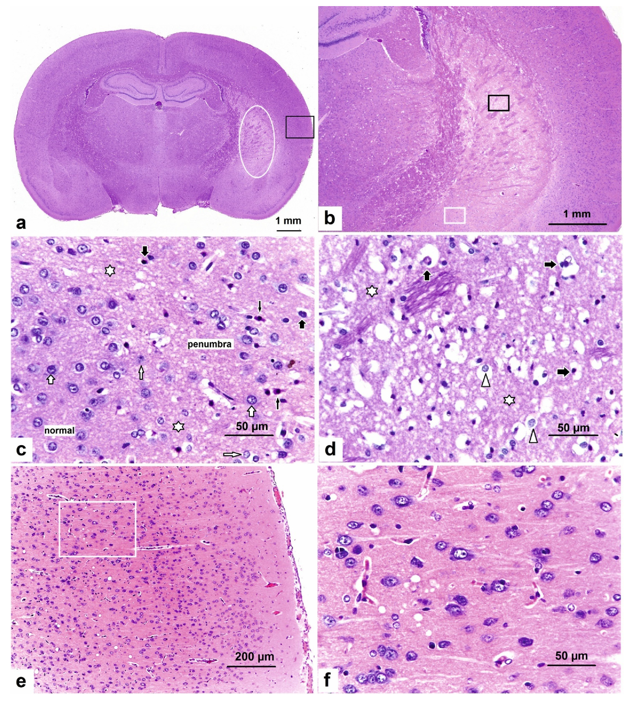 Ijms 22 06179 g001 Ijms 22 06179 g001