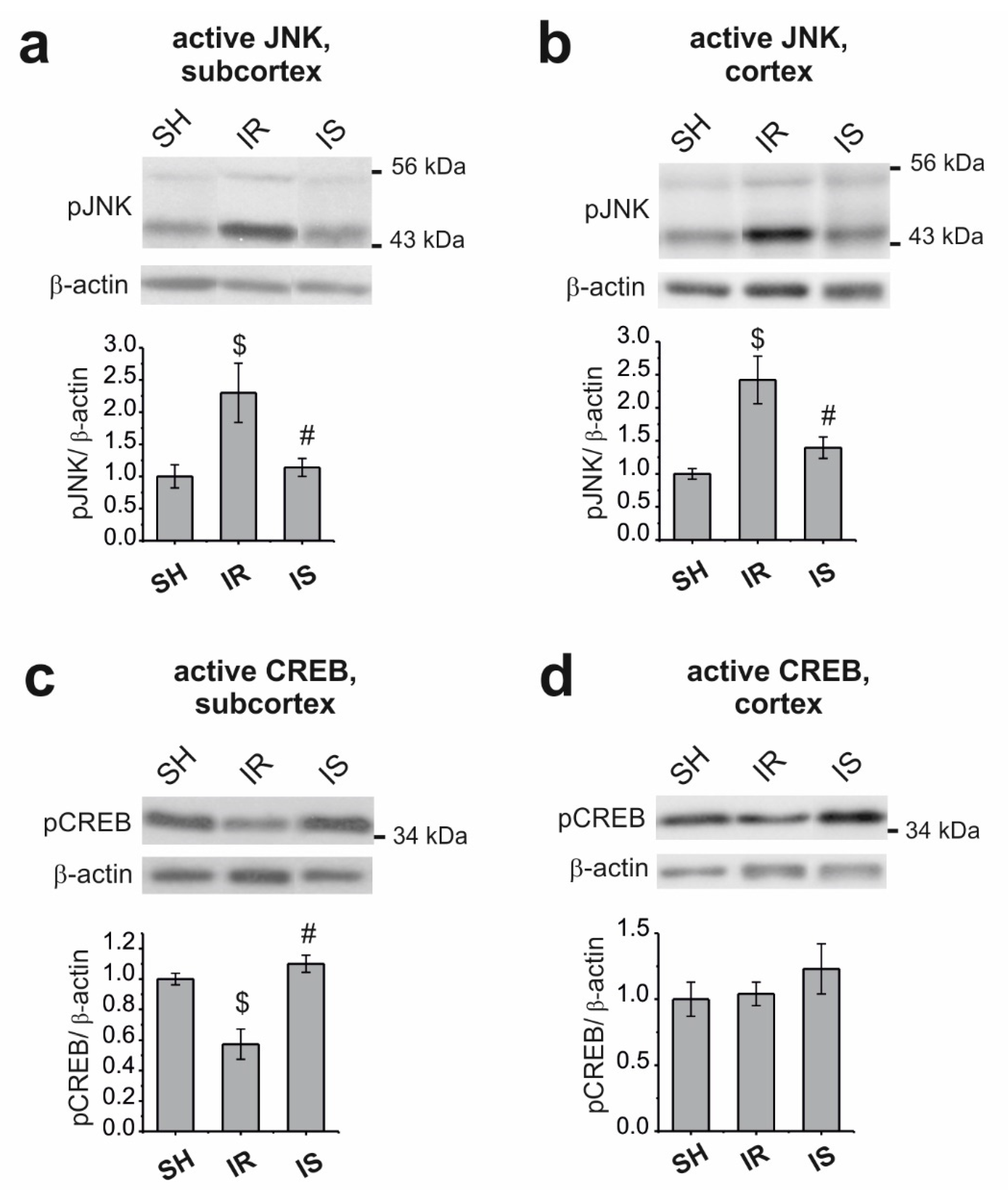 Ijms 22 06179 g002 Ijms 22 06179 g002