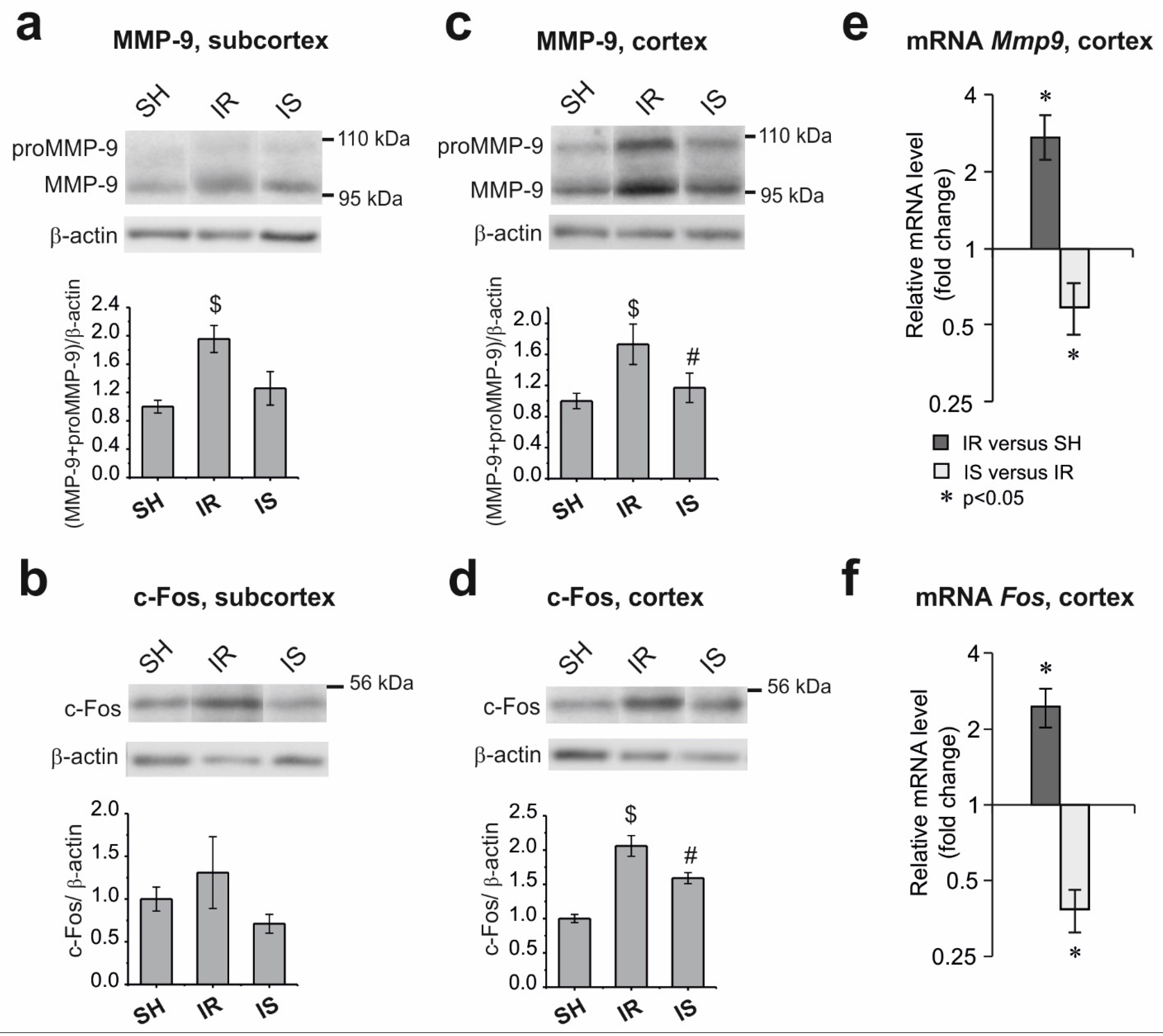 Ijms 22 06179 g003 Ijms 22 06179 g003