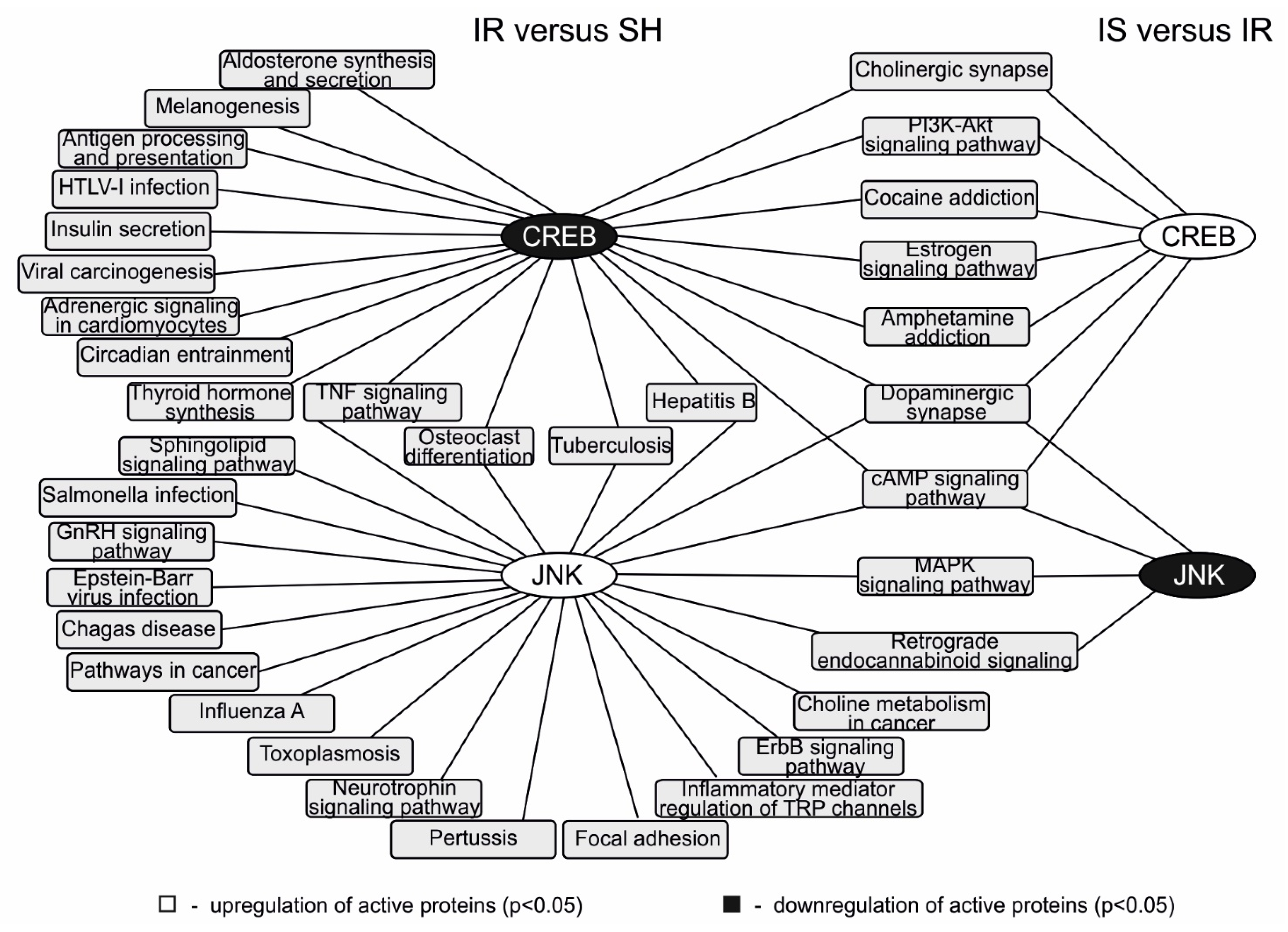Ijms 22 06179 g004 Ijms 22 06179 g004
