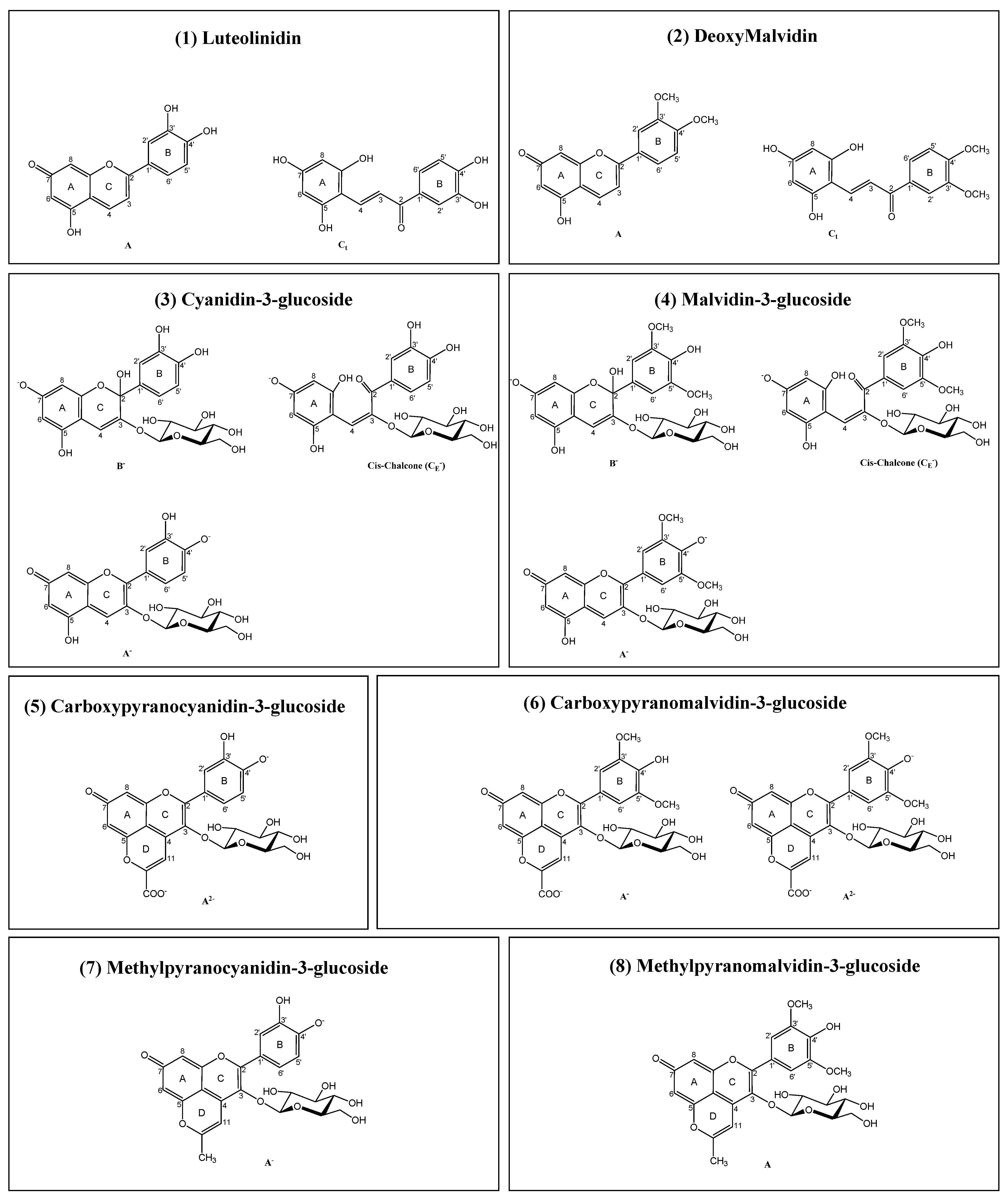 Ijms 22 06192 g001 Ijms 22 06192 g001
