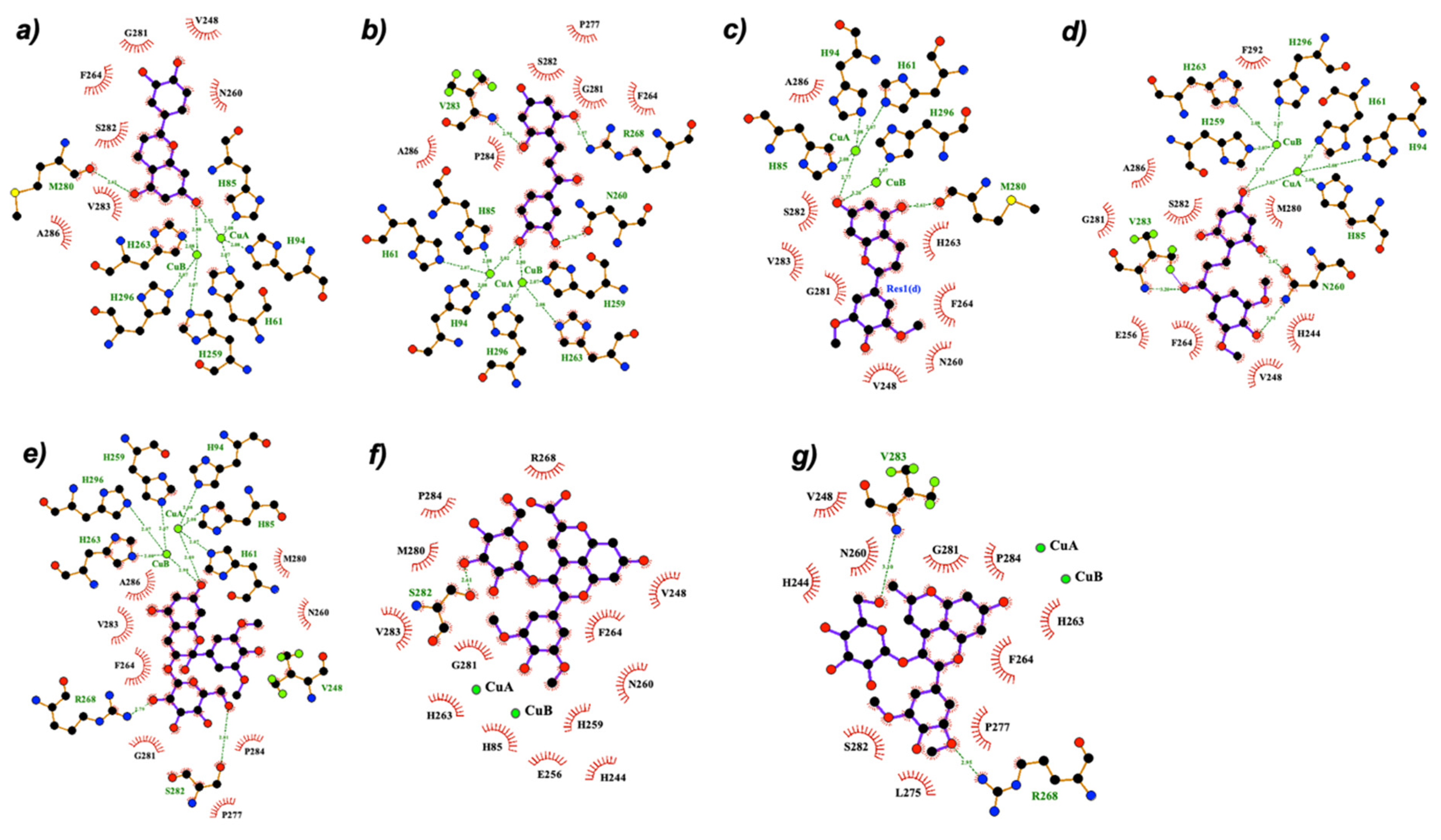 Ijms 22 06192 g004 Ijms 22 06192 g004