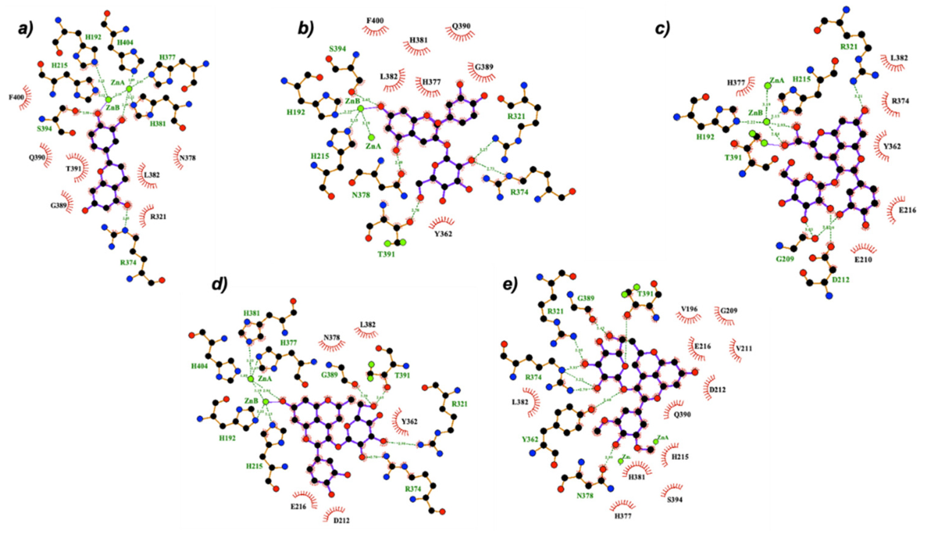 Ijms 22 06192 g005 Ijms 22 06192 g005