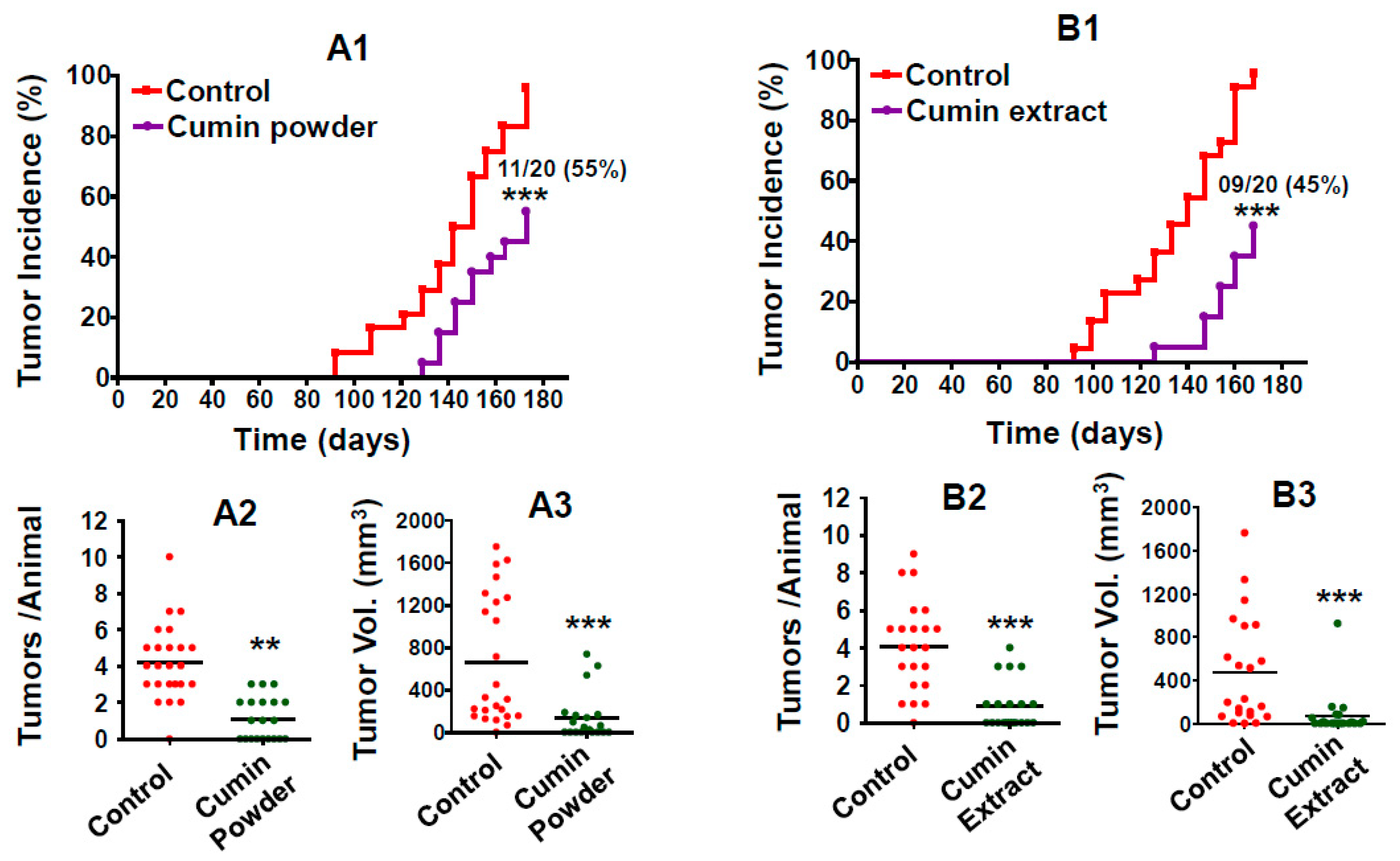 Ijms 22 06194 g002 Ijms 22 06194 g002