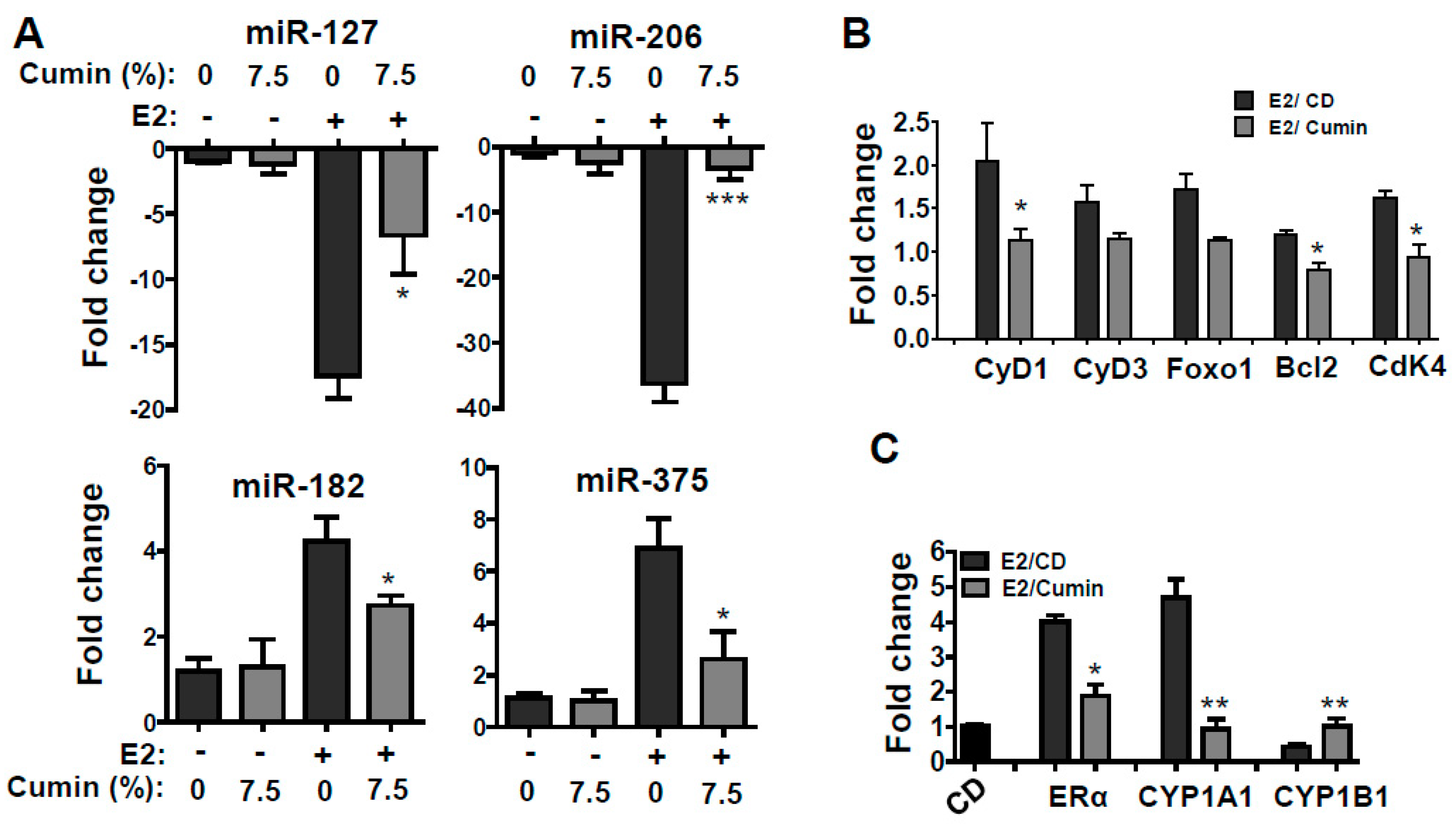 Ijms 22 06194 g005 Ijms 22 06194 g005
