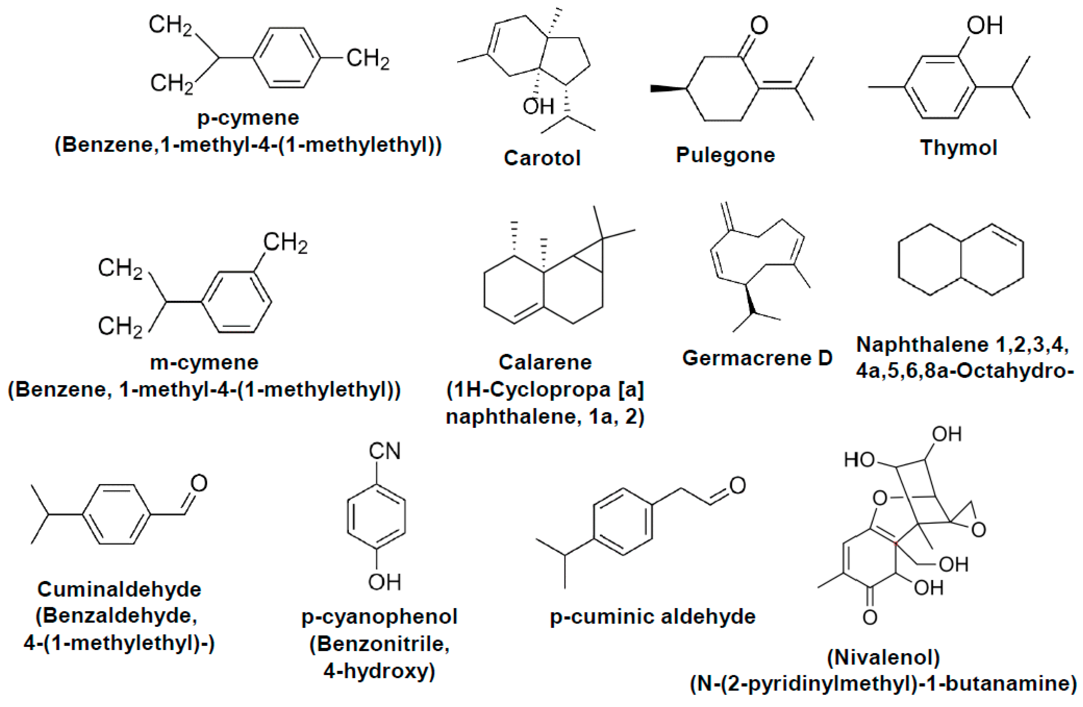 Ijms 22 06194 g007 Ijms 22 06194 g007