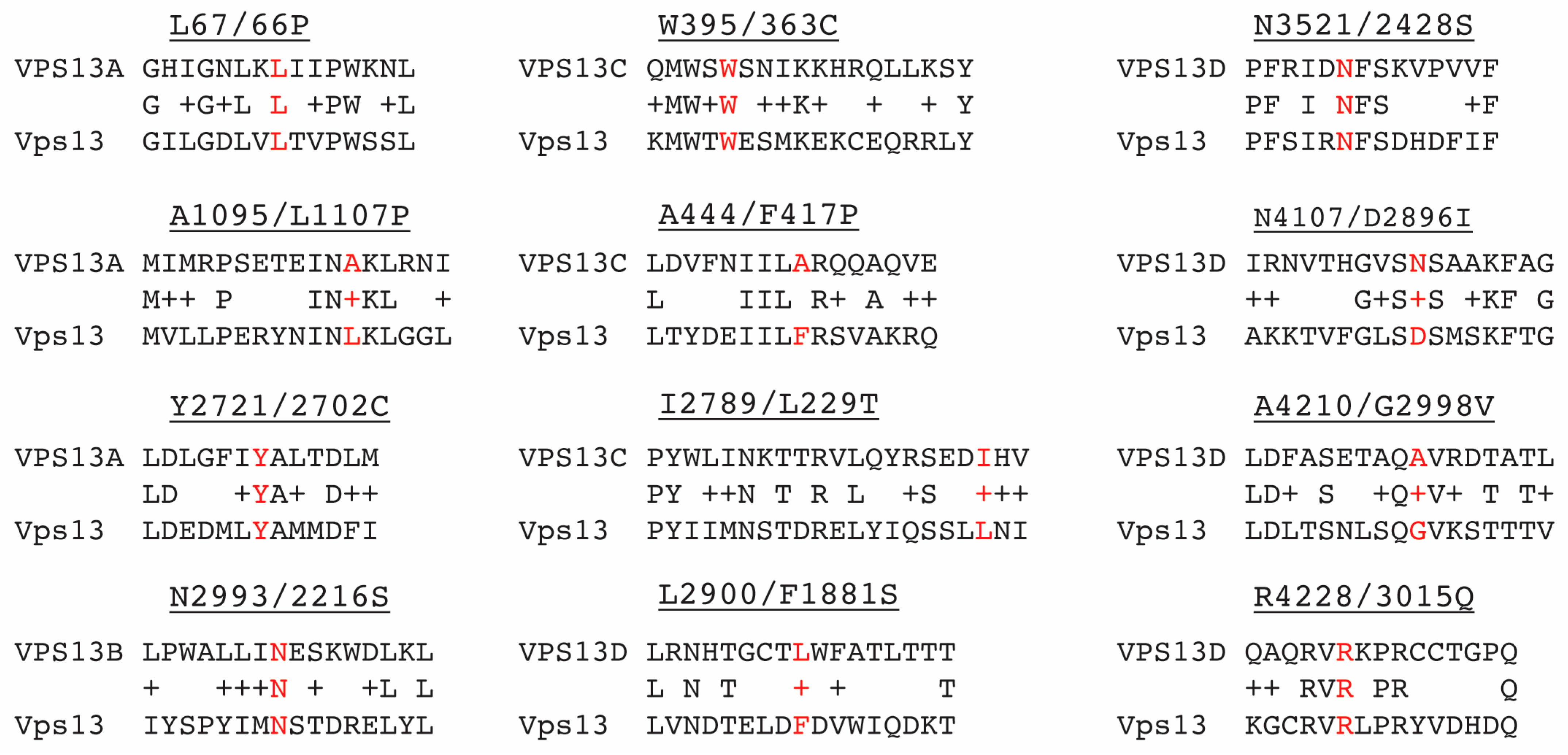 Ijms 22 06200 g001 Ijms 22 06200 g001