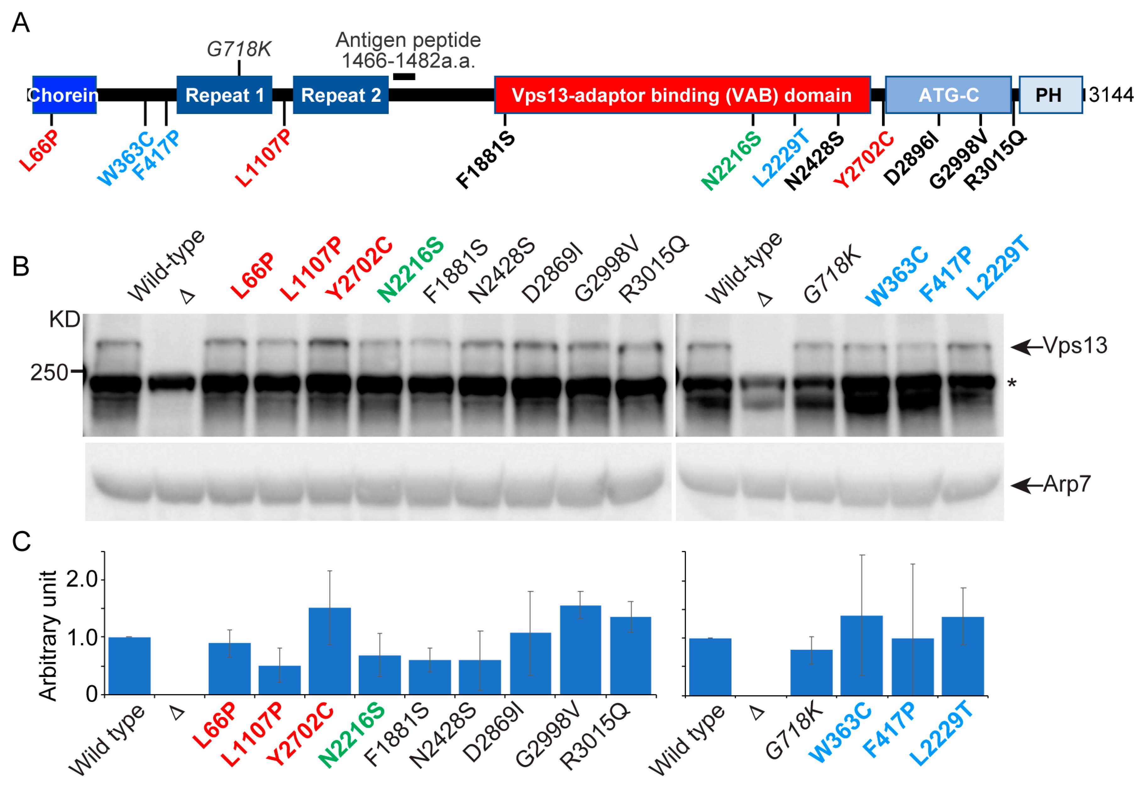 Ijms 22 06200 g002 Ijms 22 06200 g002