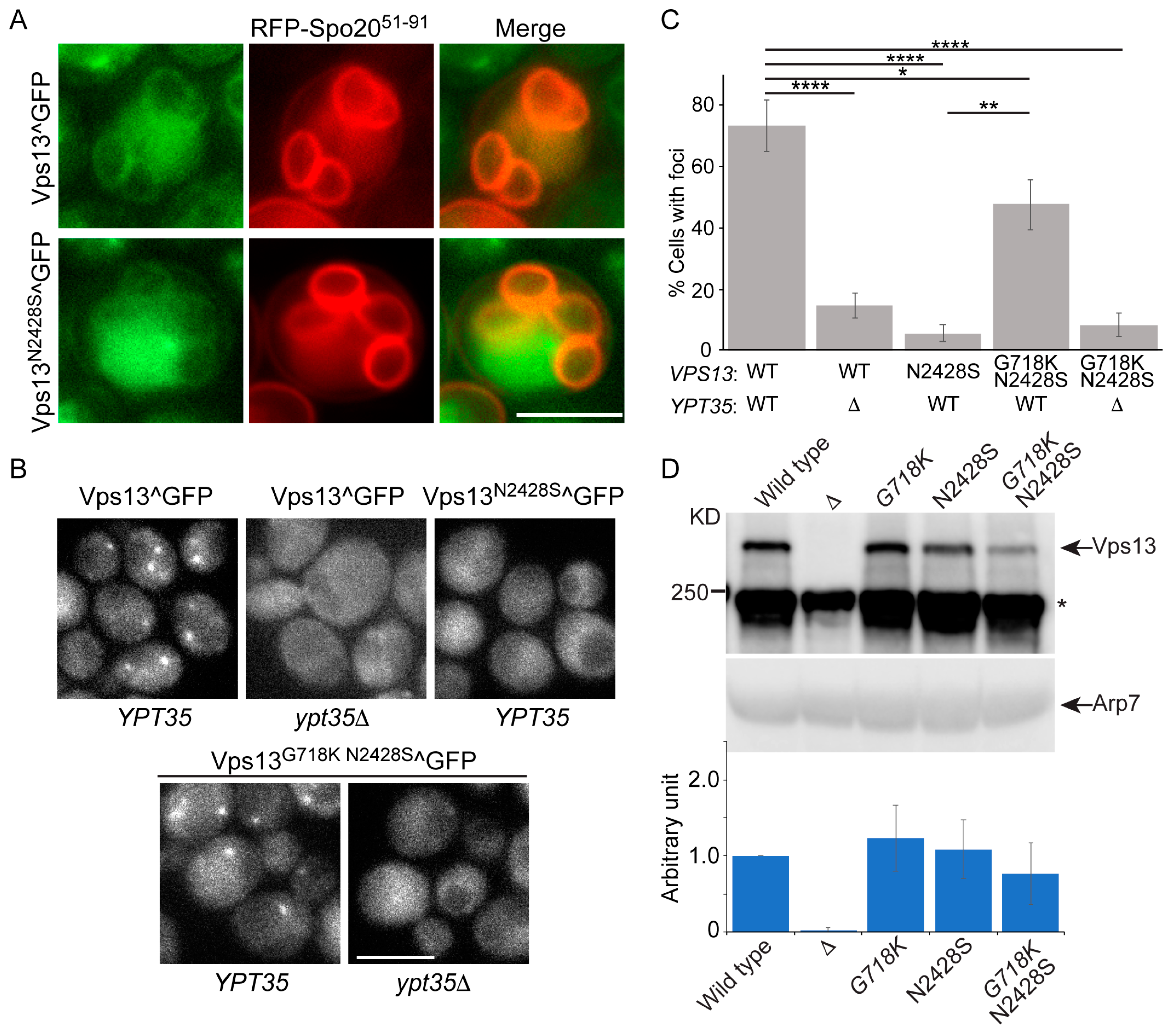Ijms 22 06200 g004 Ijms 22 06200 g004