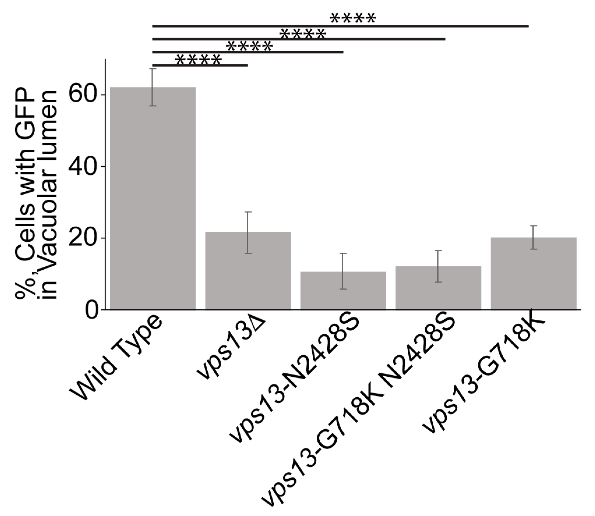 Ijms 22 06200 g006 Ijms 22 06200 g006