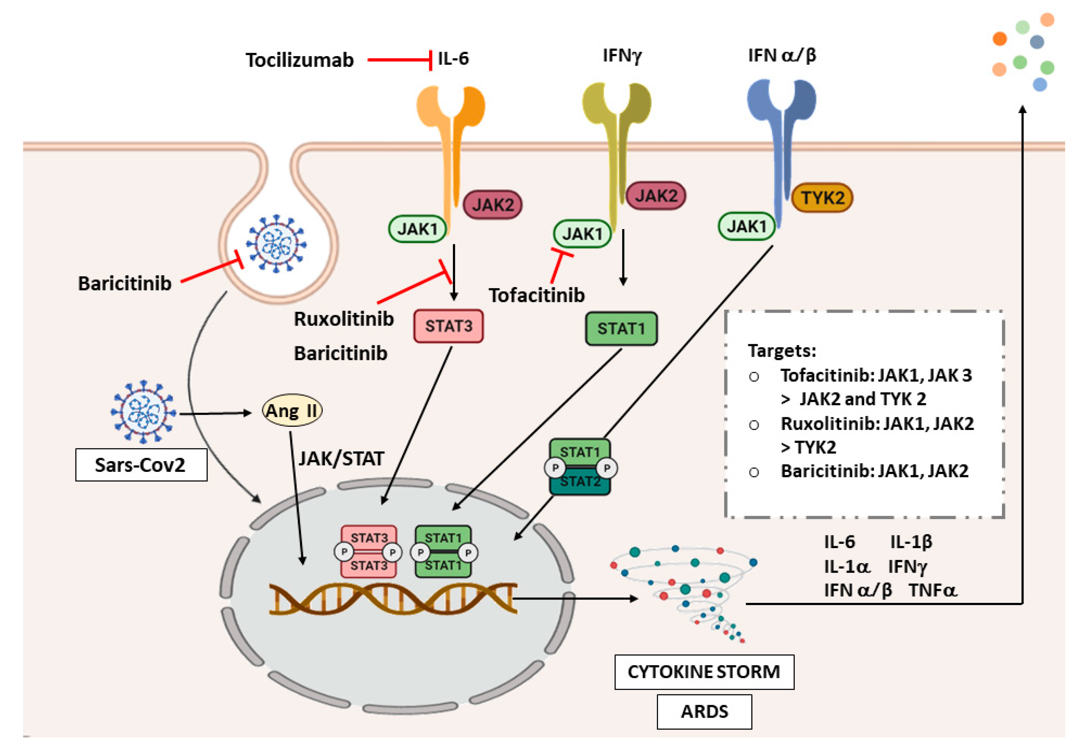 Experience With the Use of Baricitinib and Tocilizumab Monotherapy or  Combined, in Patients With Interstitial Pneumonia Secondary to Coronavirus  COVID19: A Real-World Study