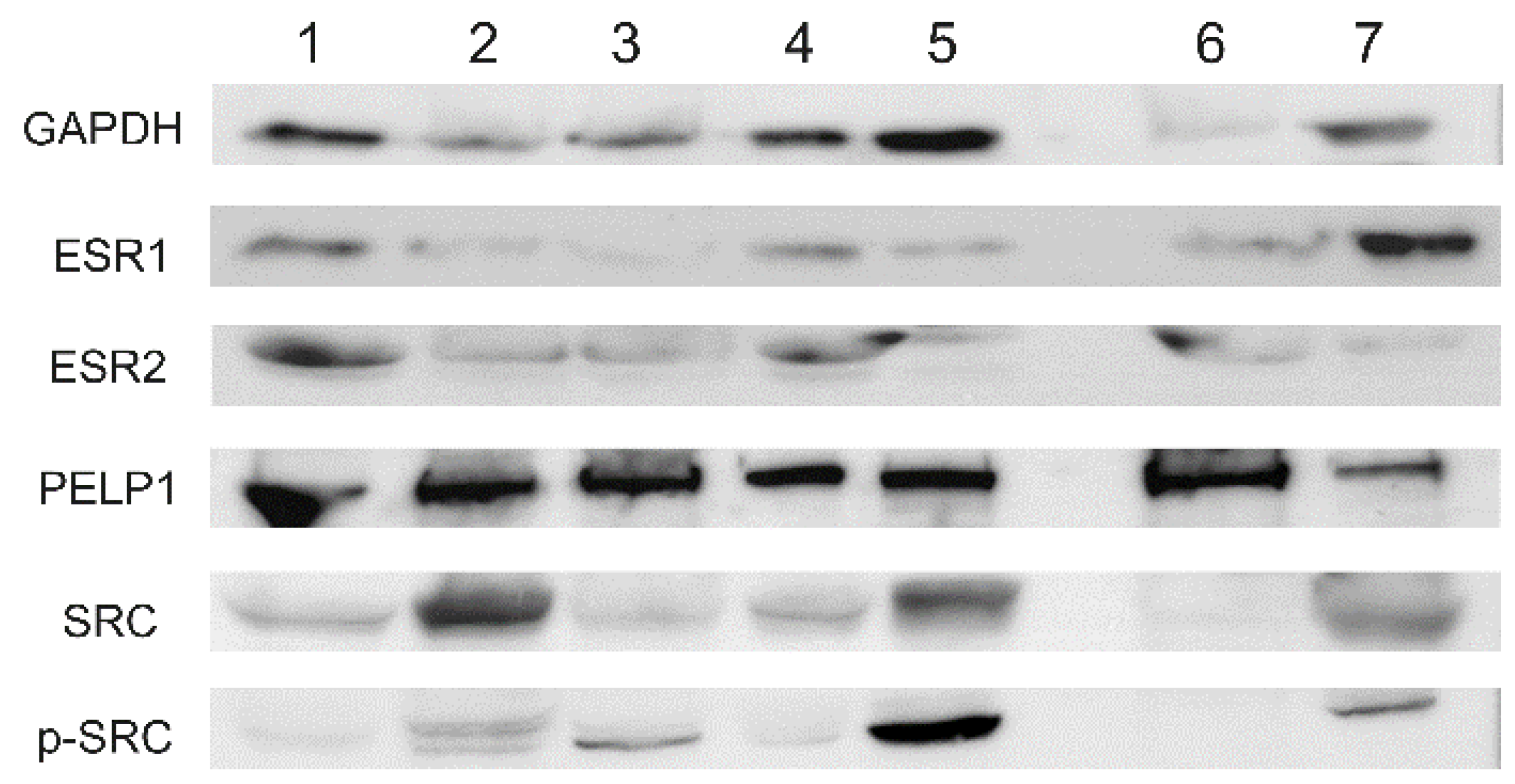 Ijms 22 06216 g005 Ijms 22 06216 g005