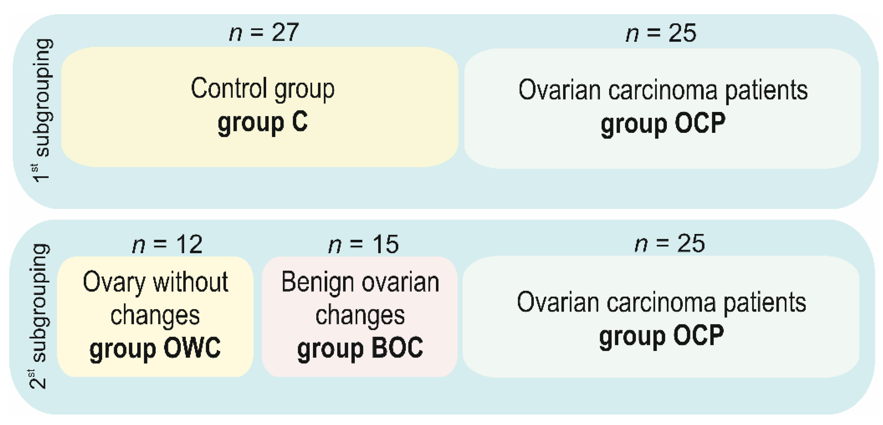 Ijms 22 06216 g007 Ijms 22 06216 g007