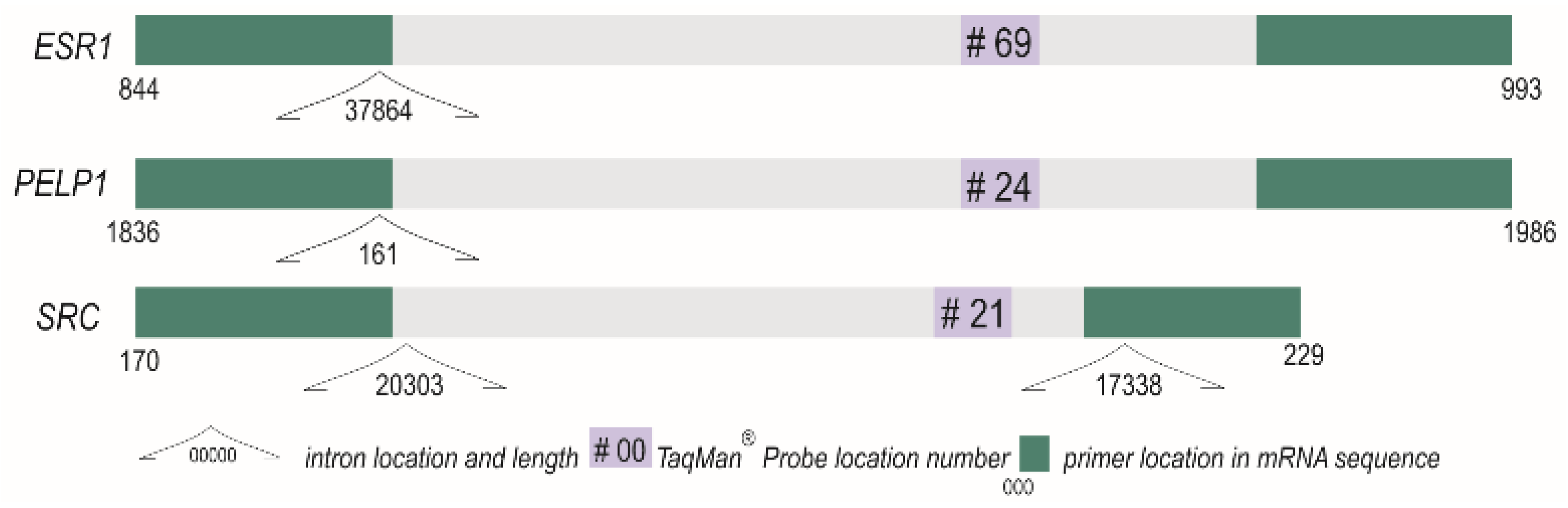 Ijms 22 06216 g008 Ijms 22 06216 g008