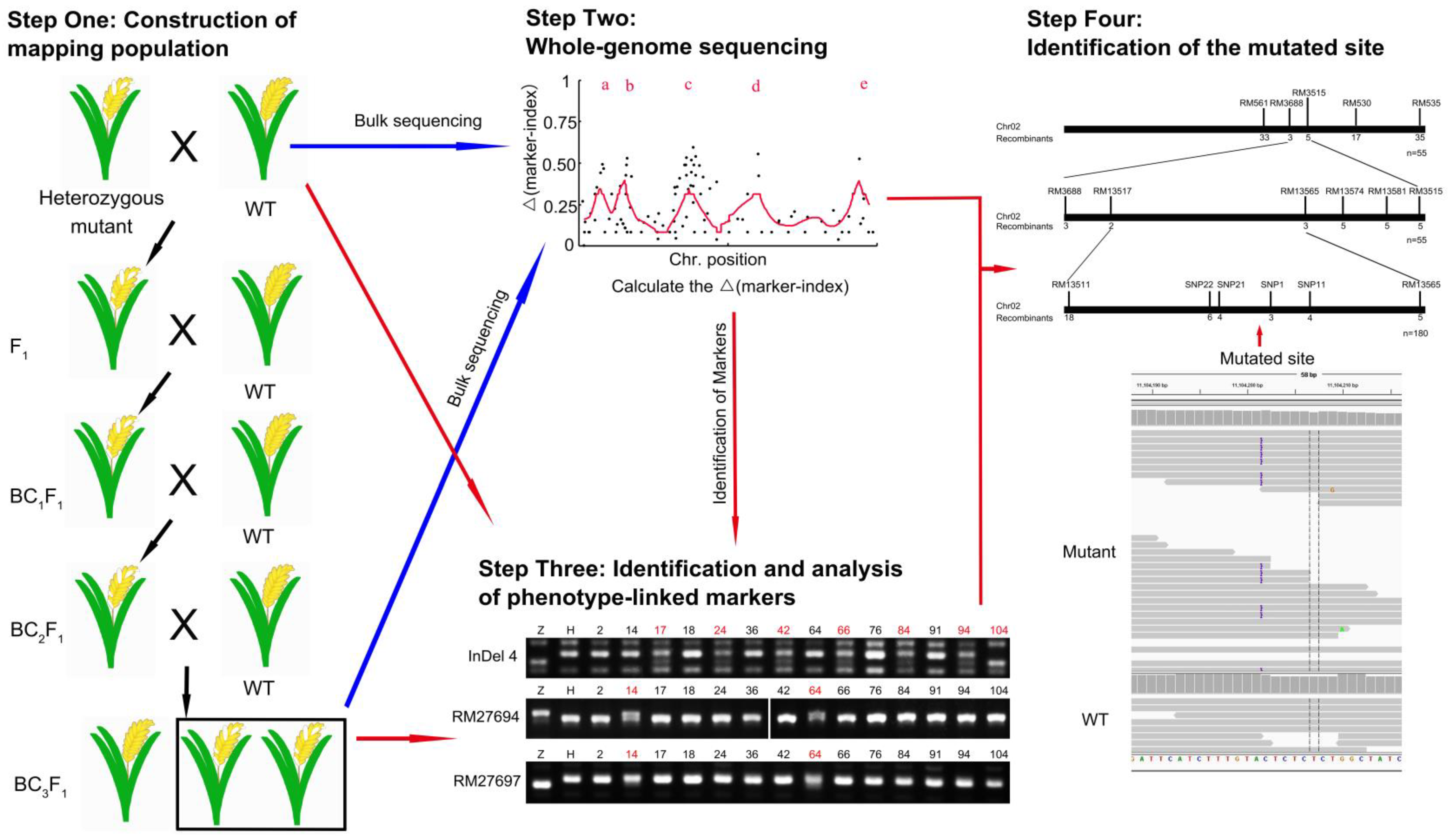 Ijms 22 06224 g001 Ijms 22 06224 g001
