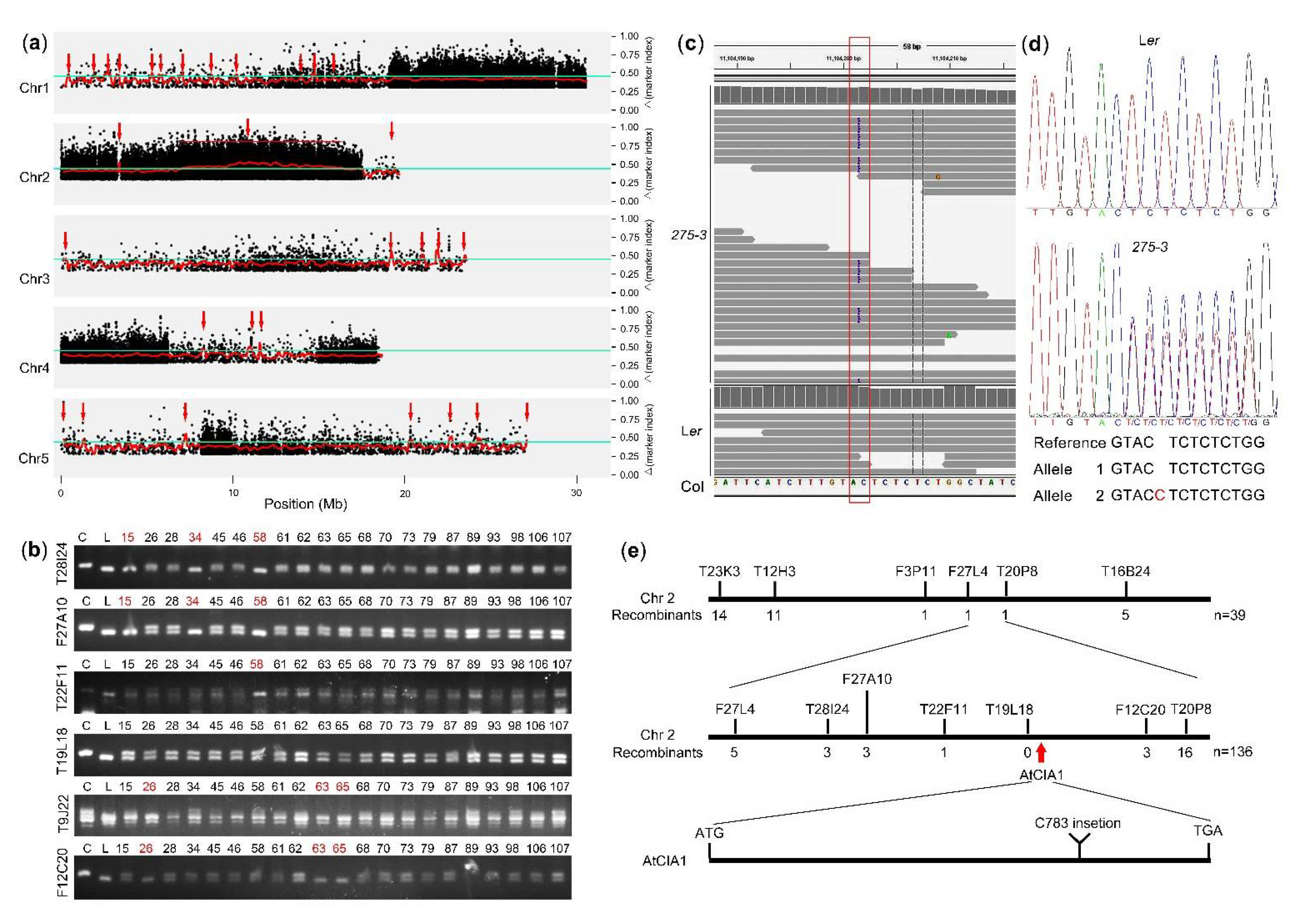 Ijms 22 06224 g004 Ijms 22 06224 g004