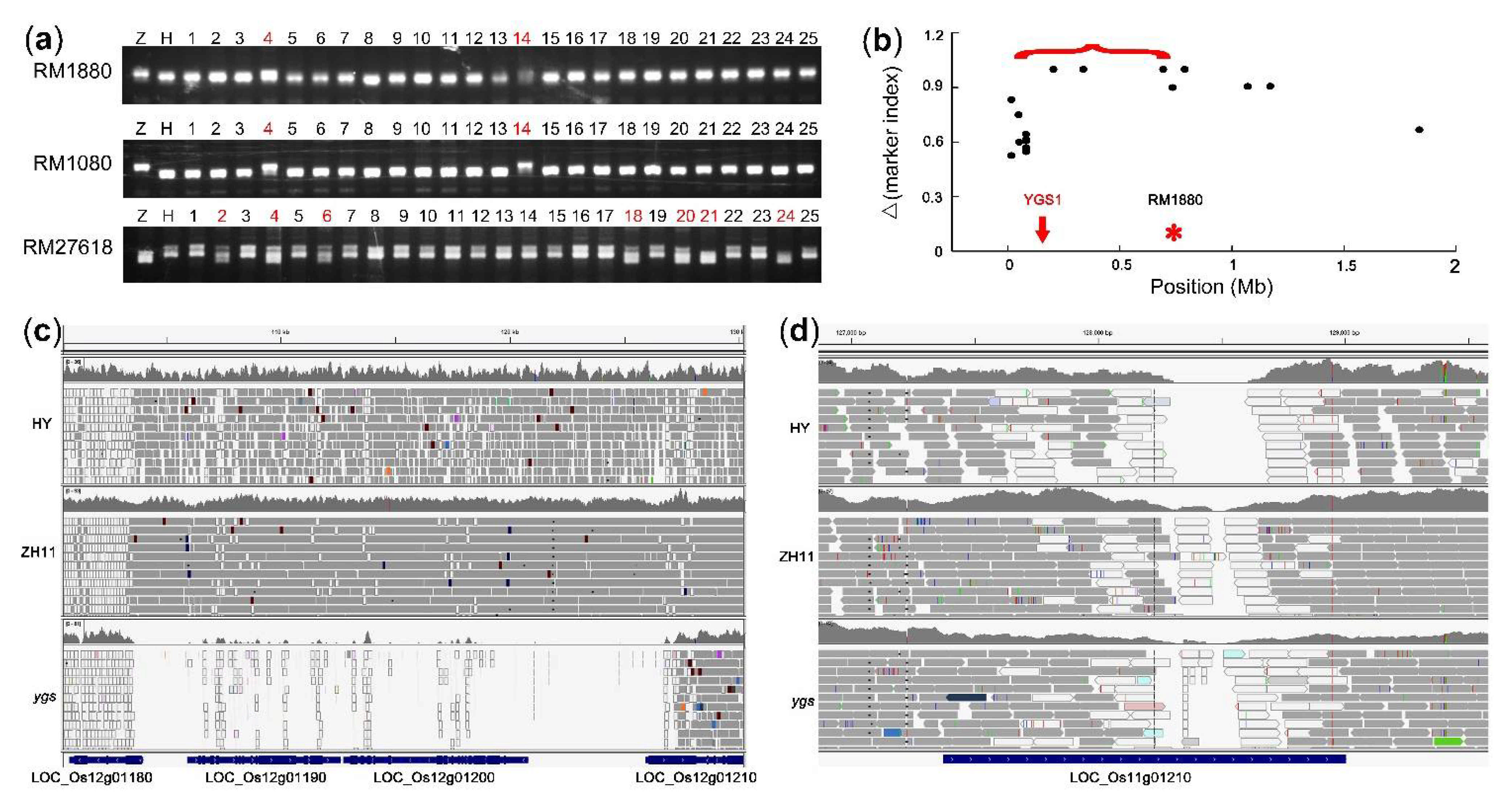 Ijms 22 06224 g006 Ijms 22 06224 g006