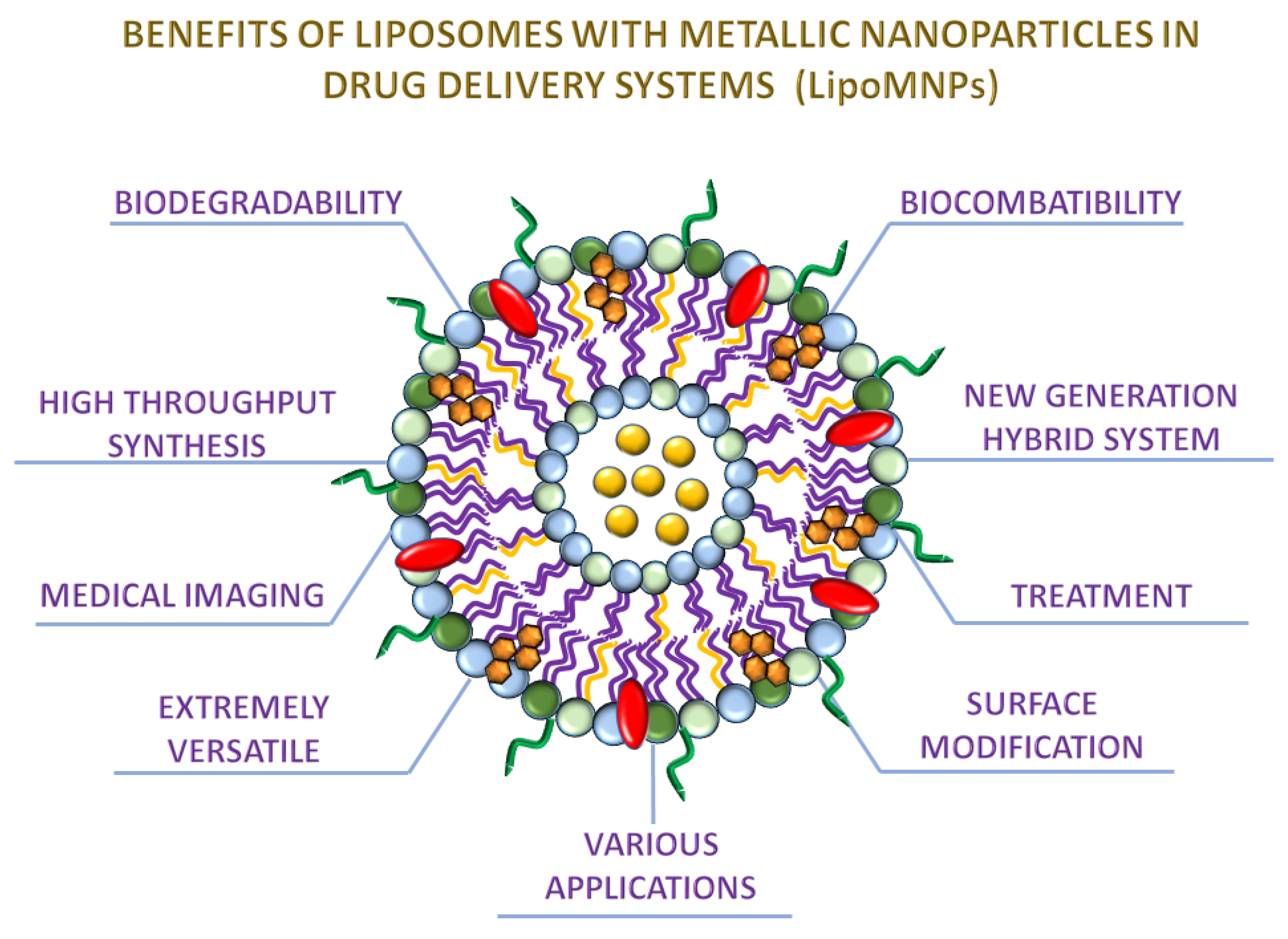 Various nanotechnology-based molecular imaging methods (A) PP/PS@MIONs