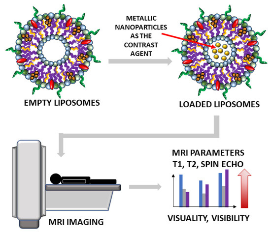 Various nanotechnology-based molecular imaging methods (A) PP/PS@MIONs