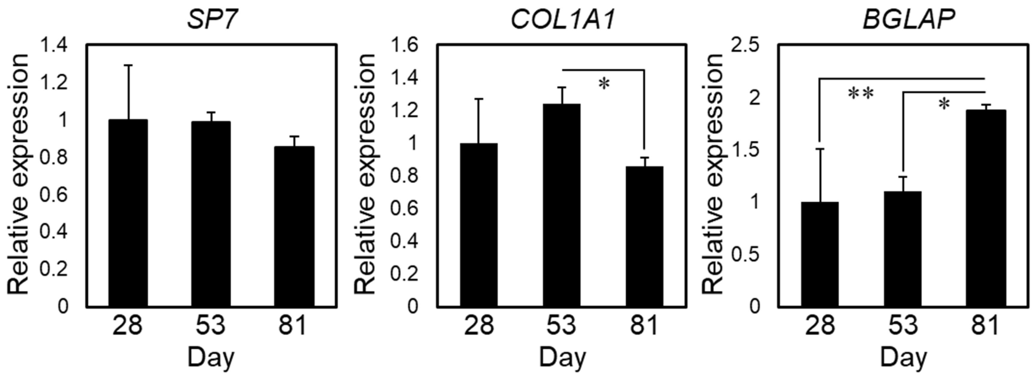 Ijms 22 06232 g002 Ijms 22 06232 g002