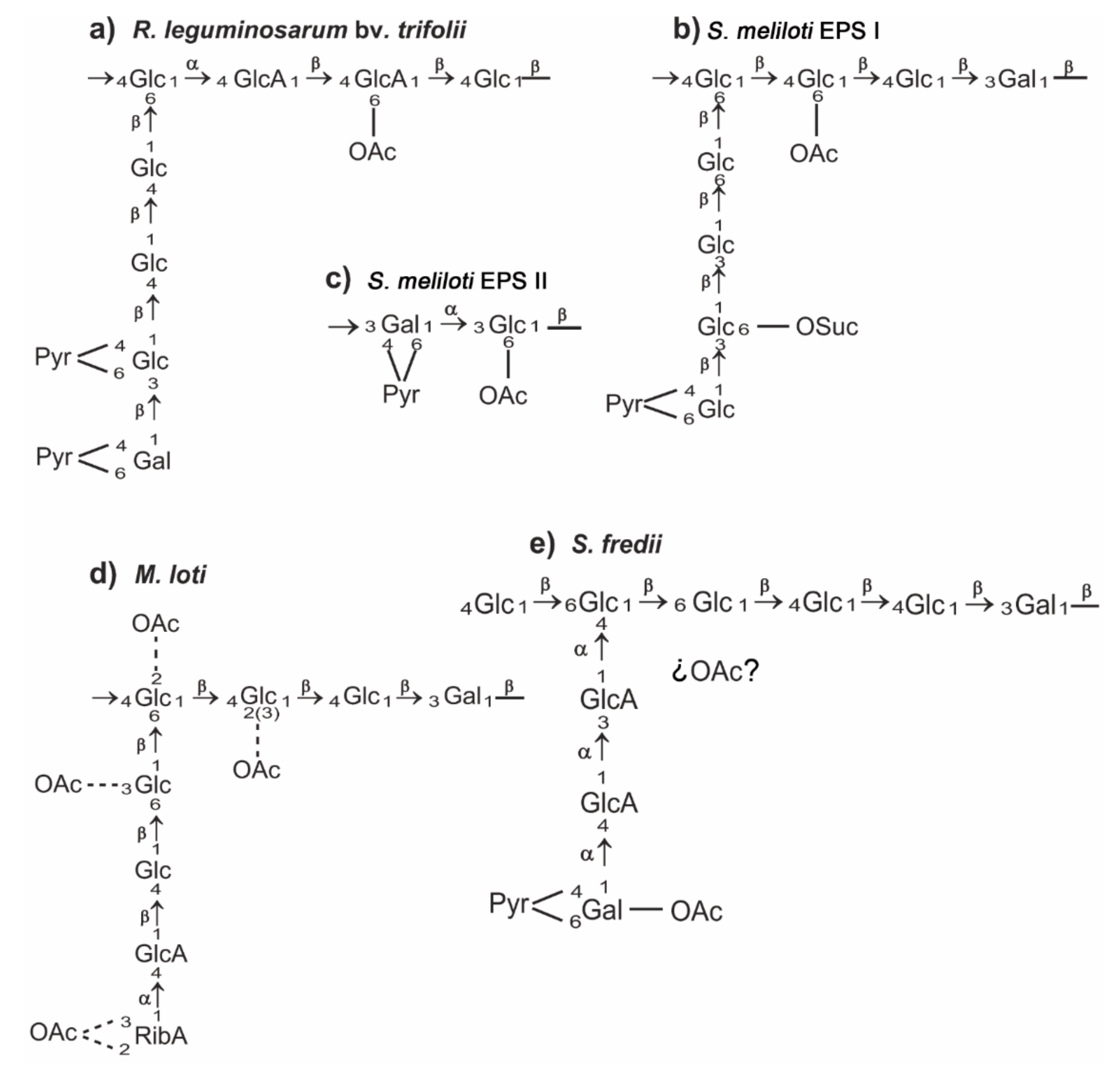 Ijms 22 06233 g001 Ijms 22 06233 g001