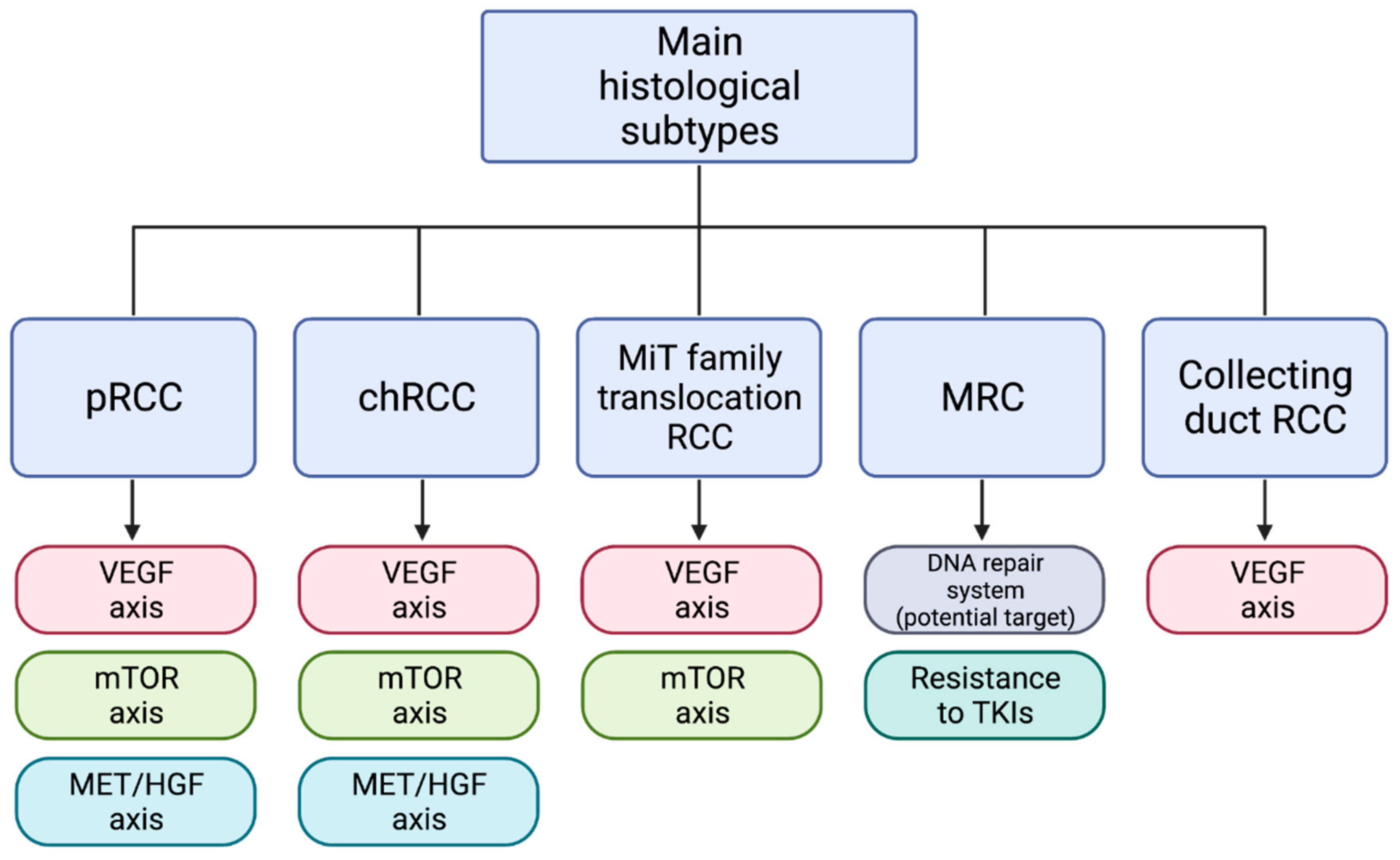 Ijms 22 06237 g002 Ijms 22 06237 g002