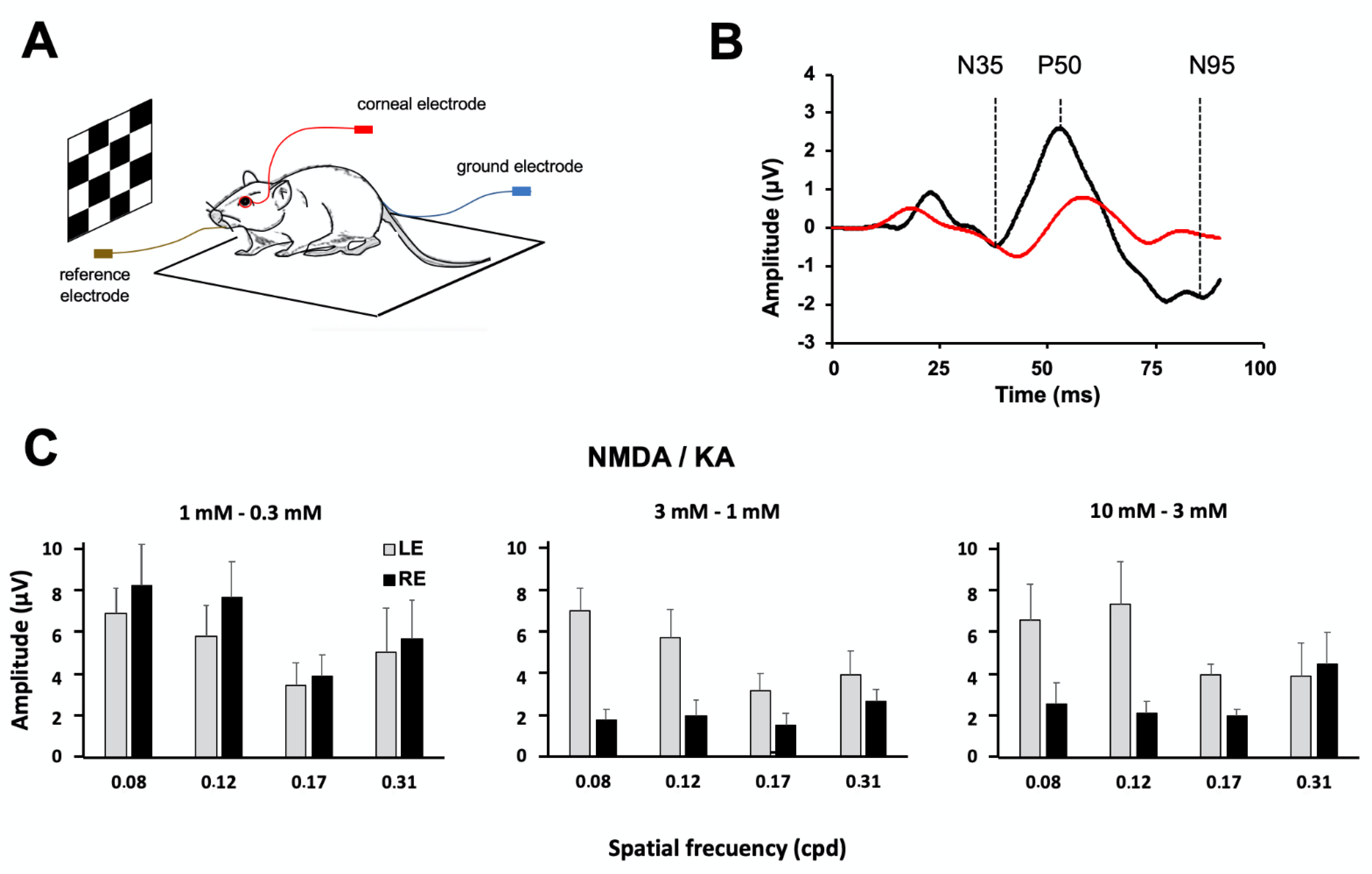 Ijms 22 06245 g007 Ijms 22 06245 g007