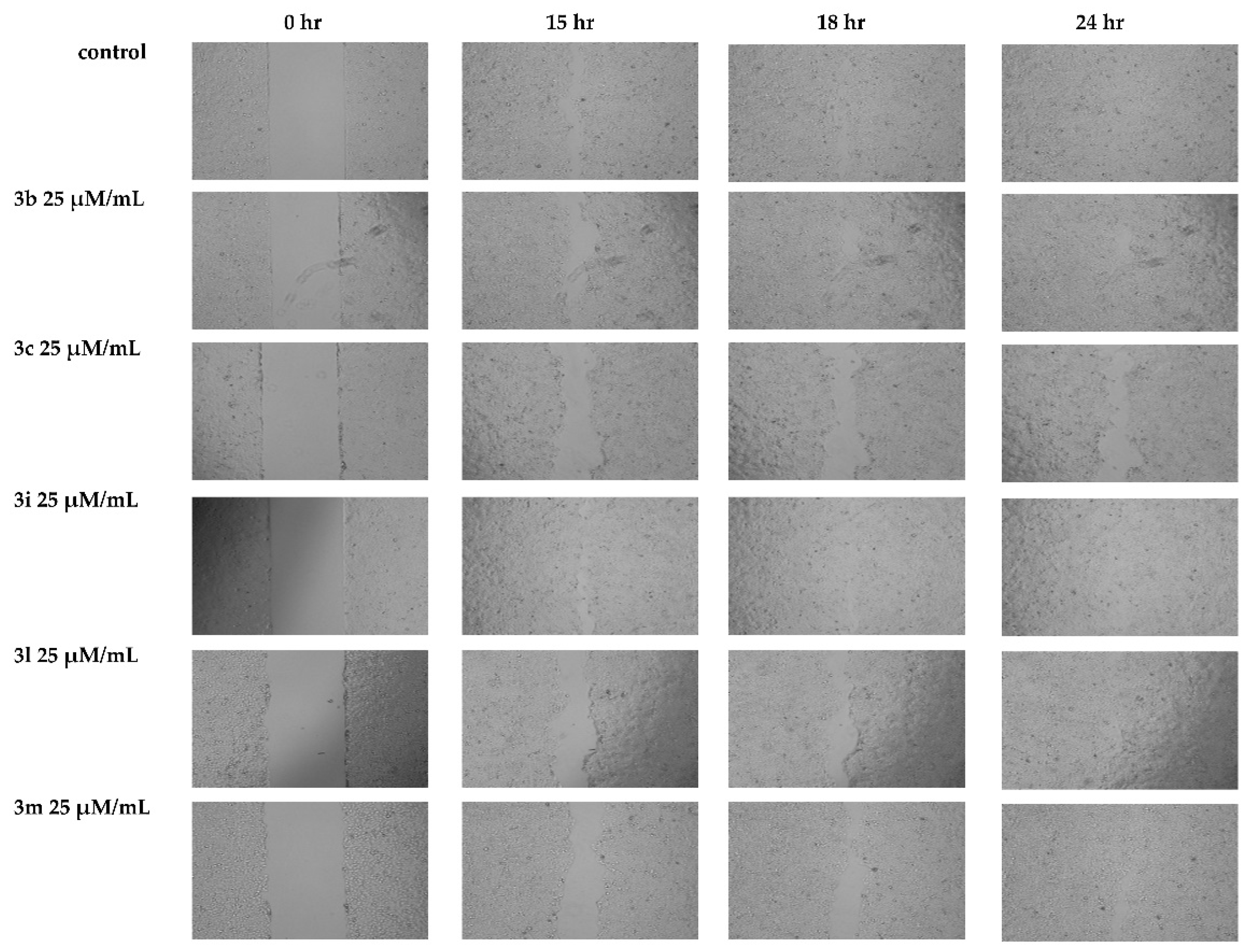 Ijms 22 06251 g002 Ijms 22 06251 g002