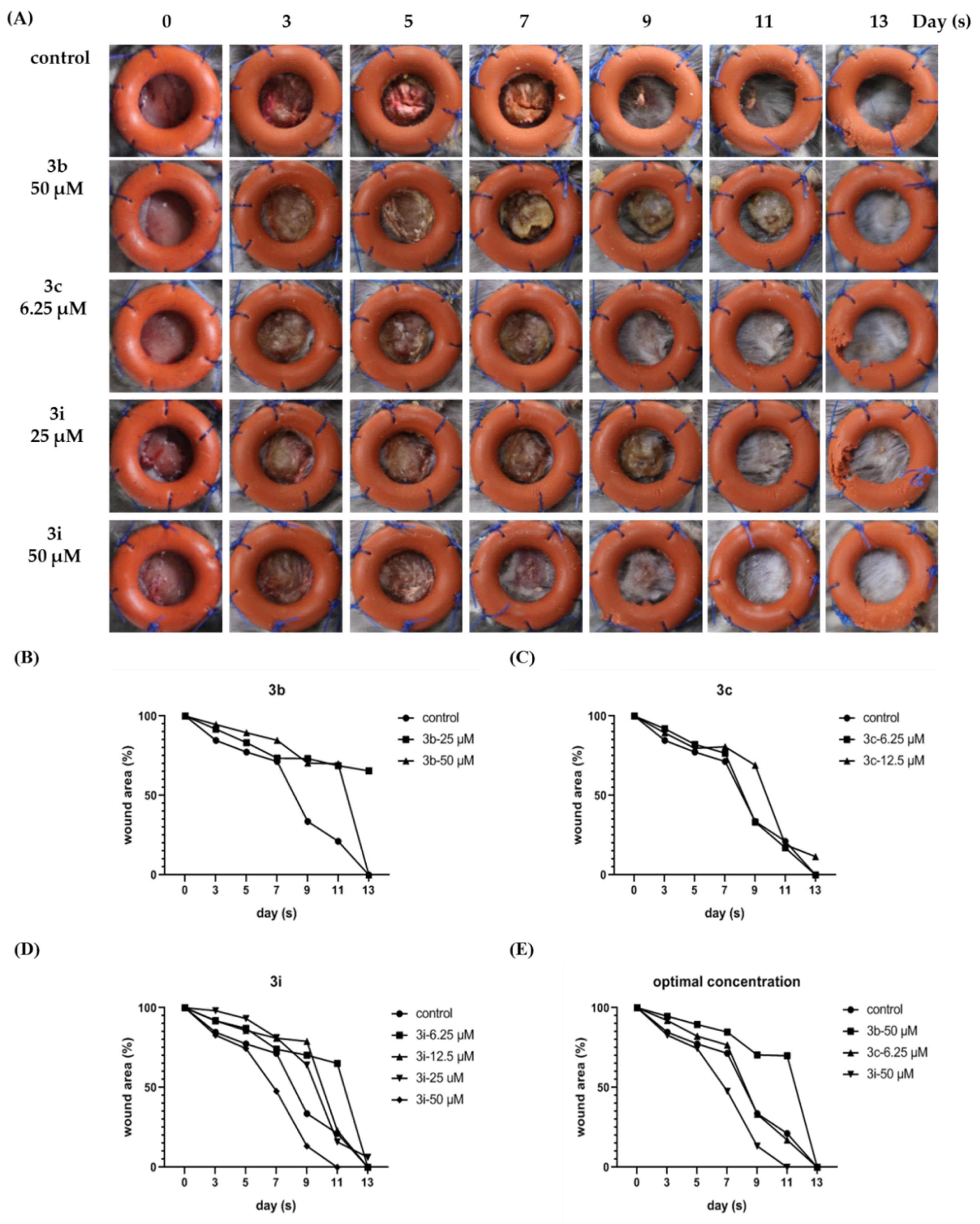 Ijms 22 06251 g004 Ijms 22 06251 g004