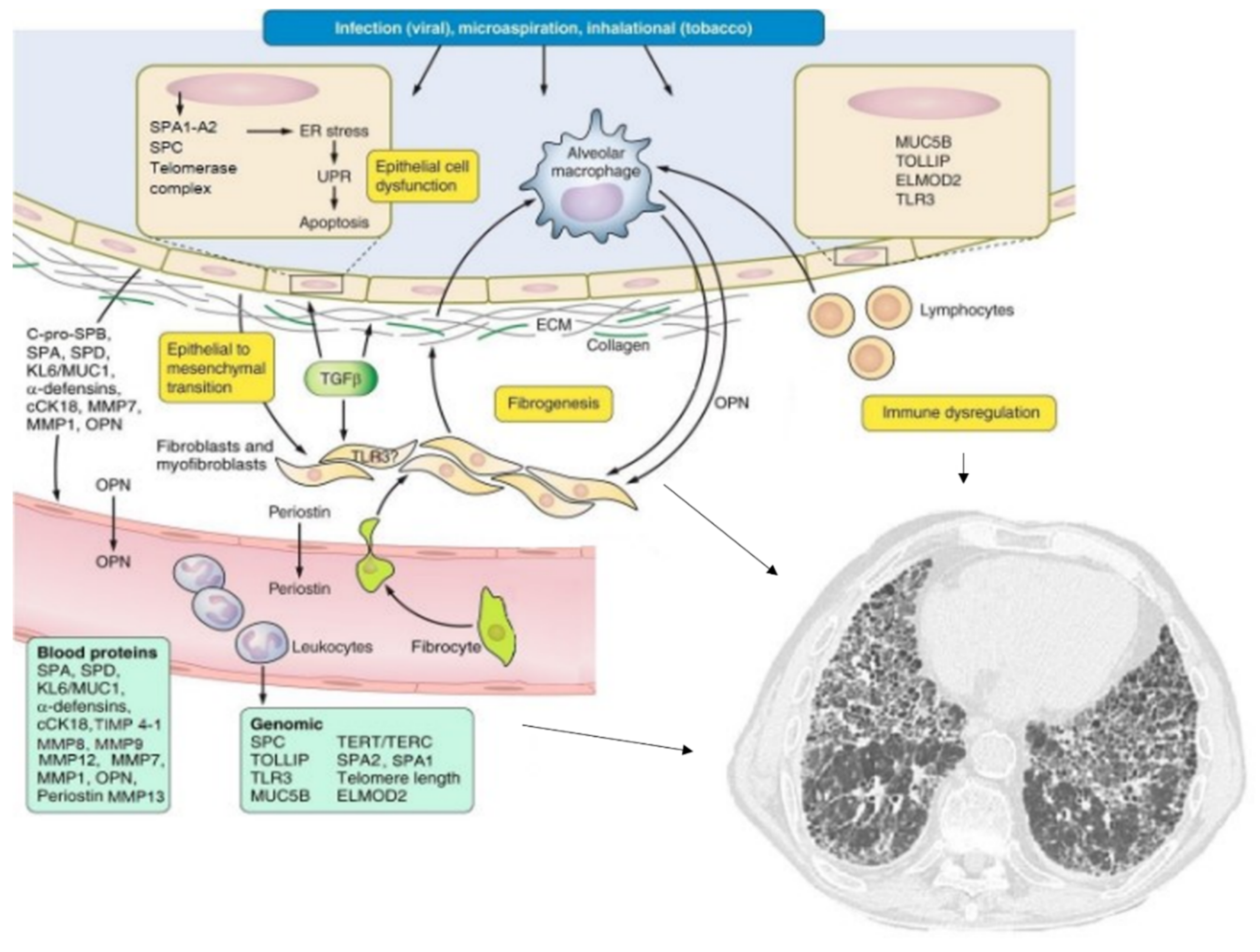 Ijms 22 06255 g001 Ijms 22 06255 g001