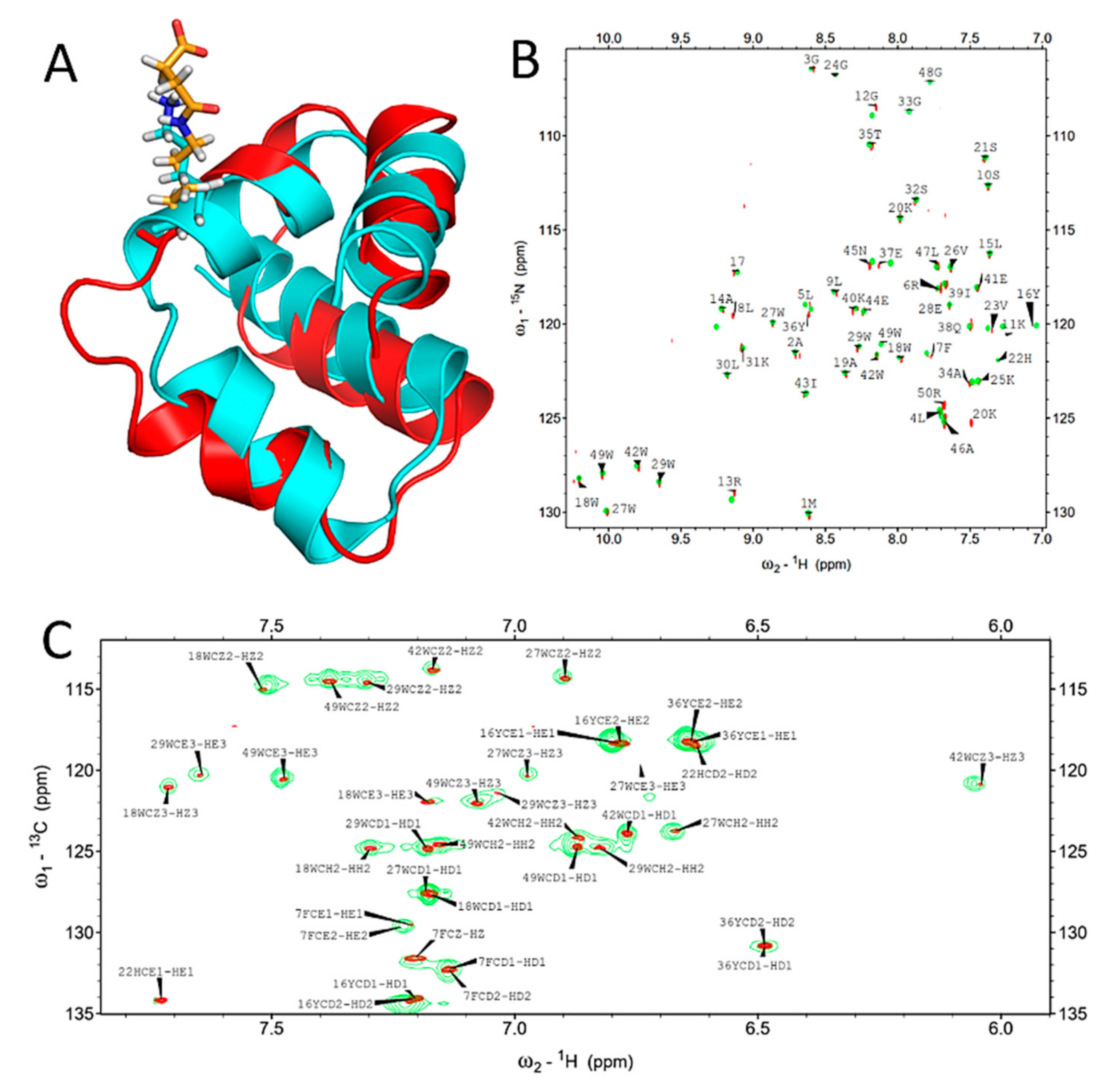Ijms 22 06256 g002 Ijms 22 06256 g002